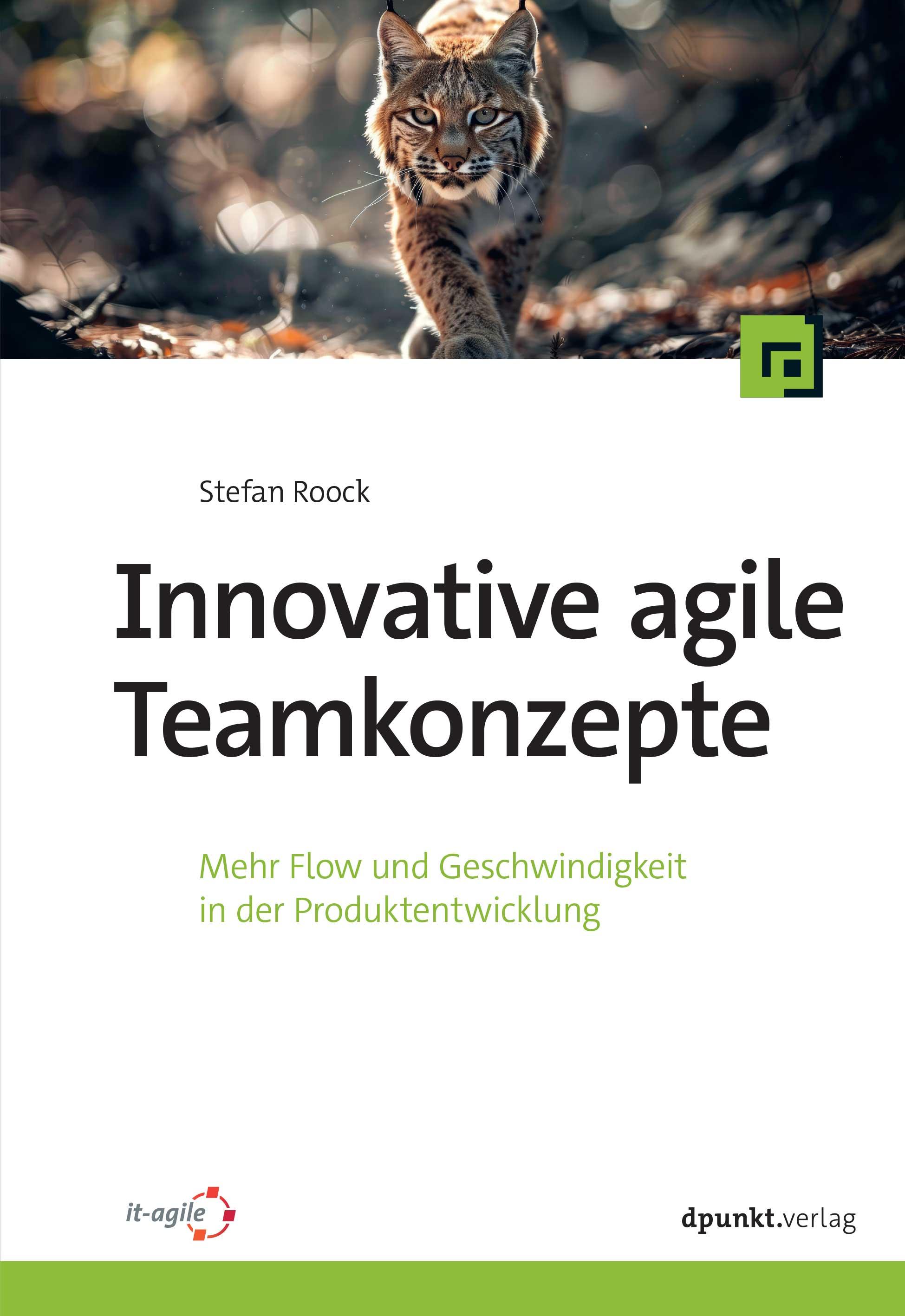 Vorderes Coverbild Innovative agile Teamkonzepte