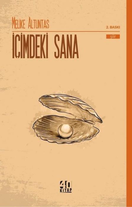 Vorderes Coverbild Icimdeki Sana