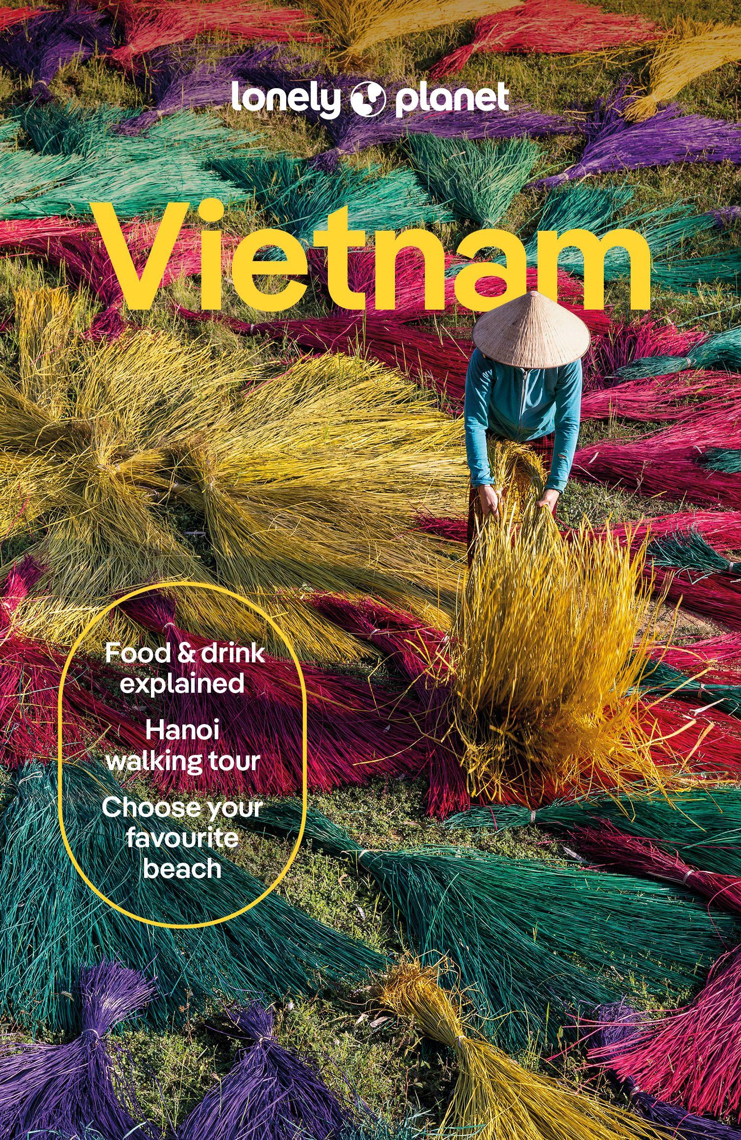 Vorderes Coverbild Lonely Planet Vietnam