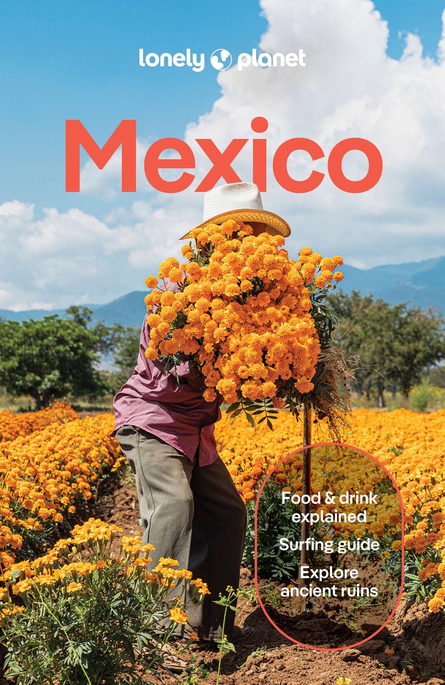 Vorderes Coverbild Lonely Planet Mexico