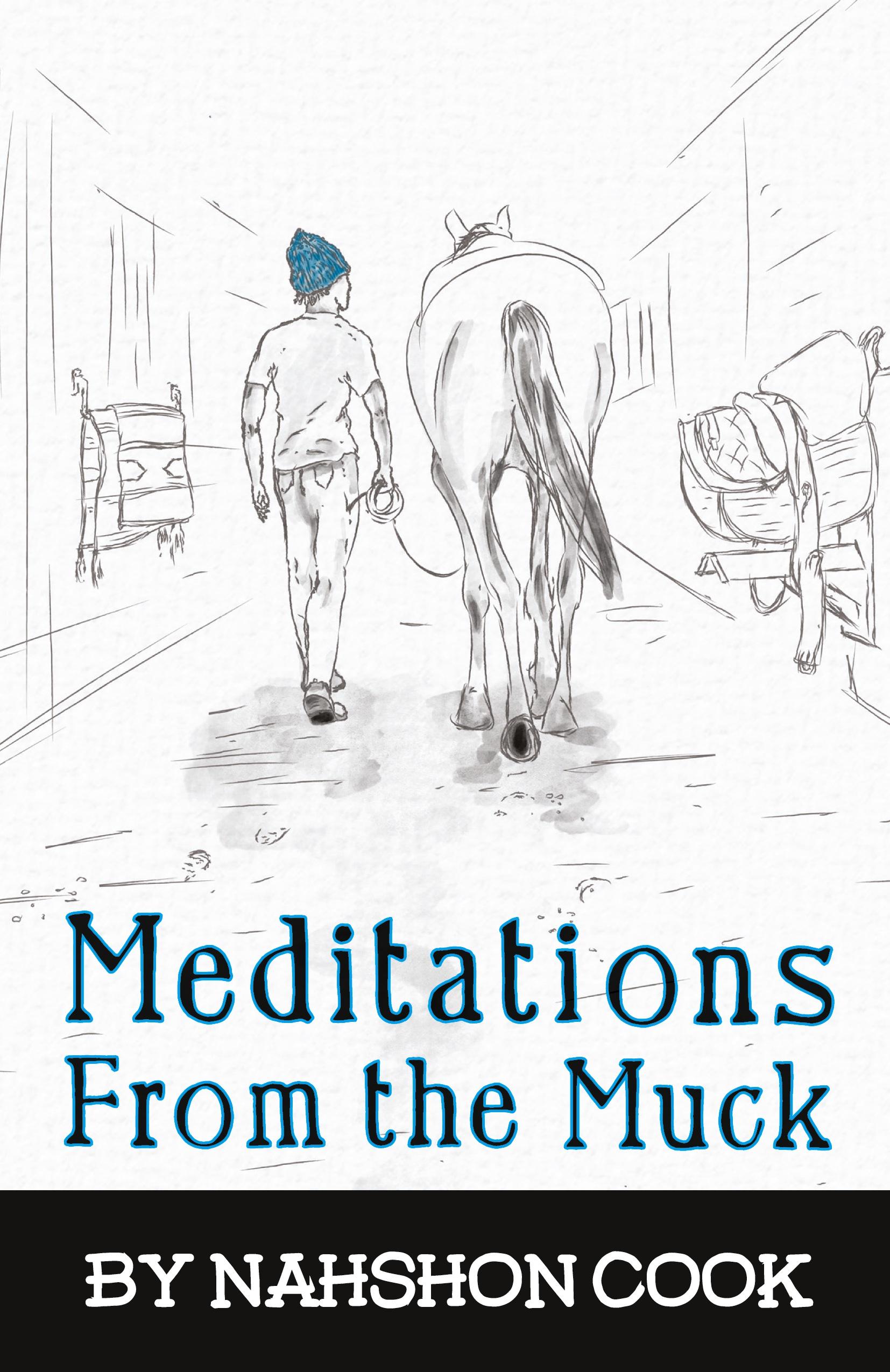 Vorderes Coverbild Meditations From The Muck