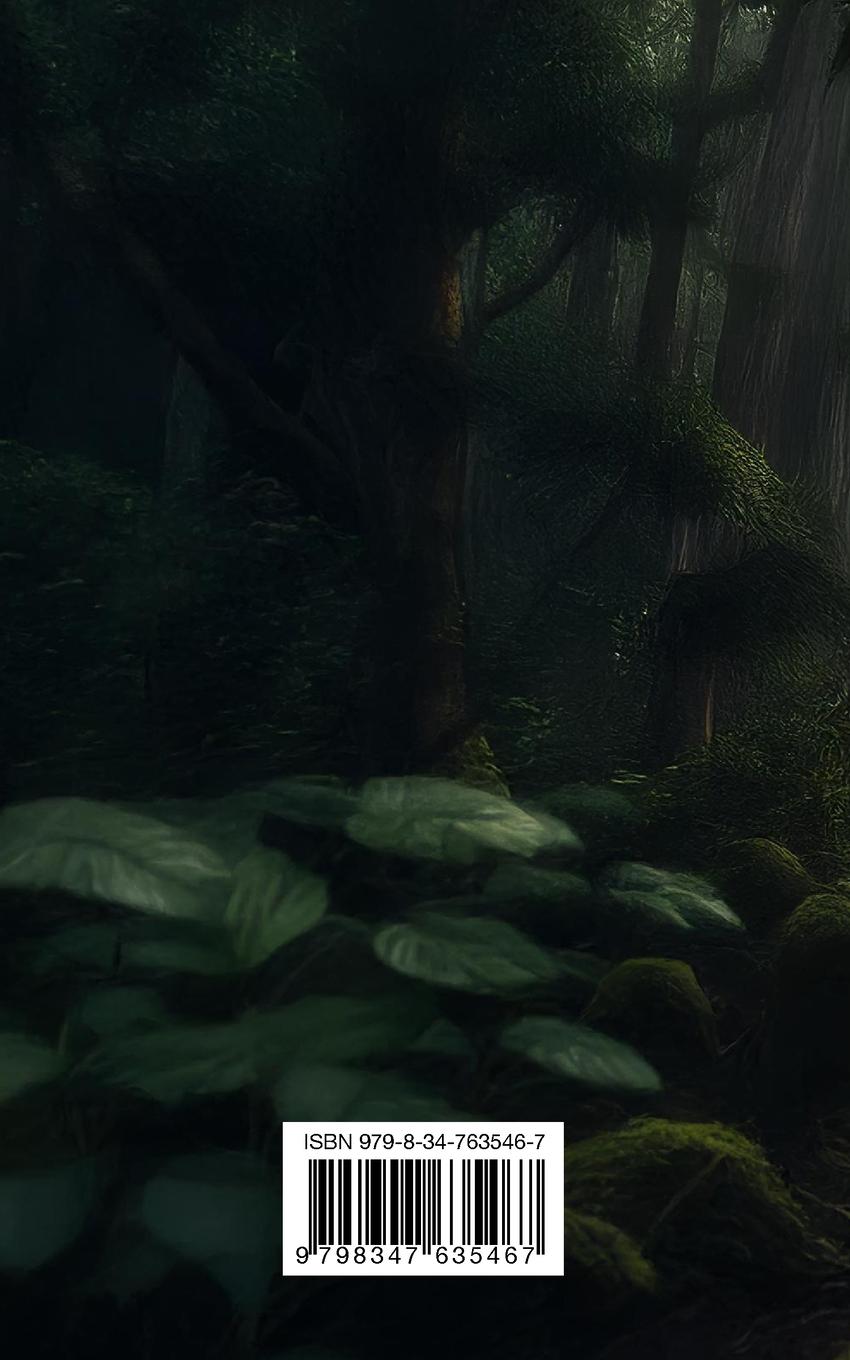 Rückseitencover The Lost Keys of Freemasonry