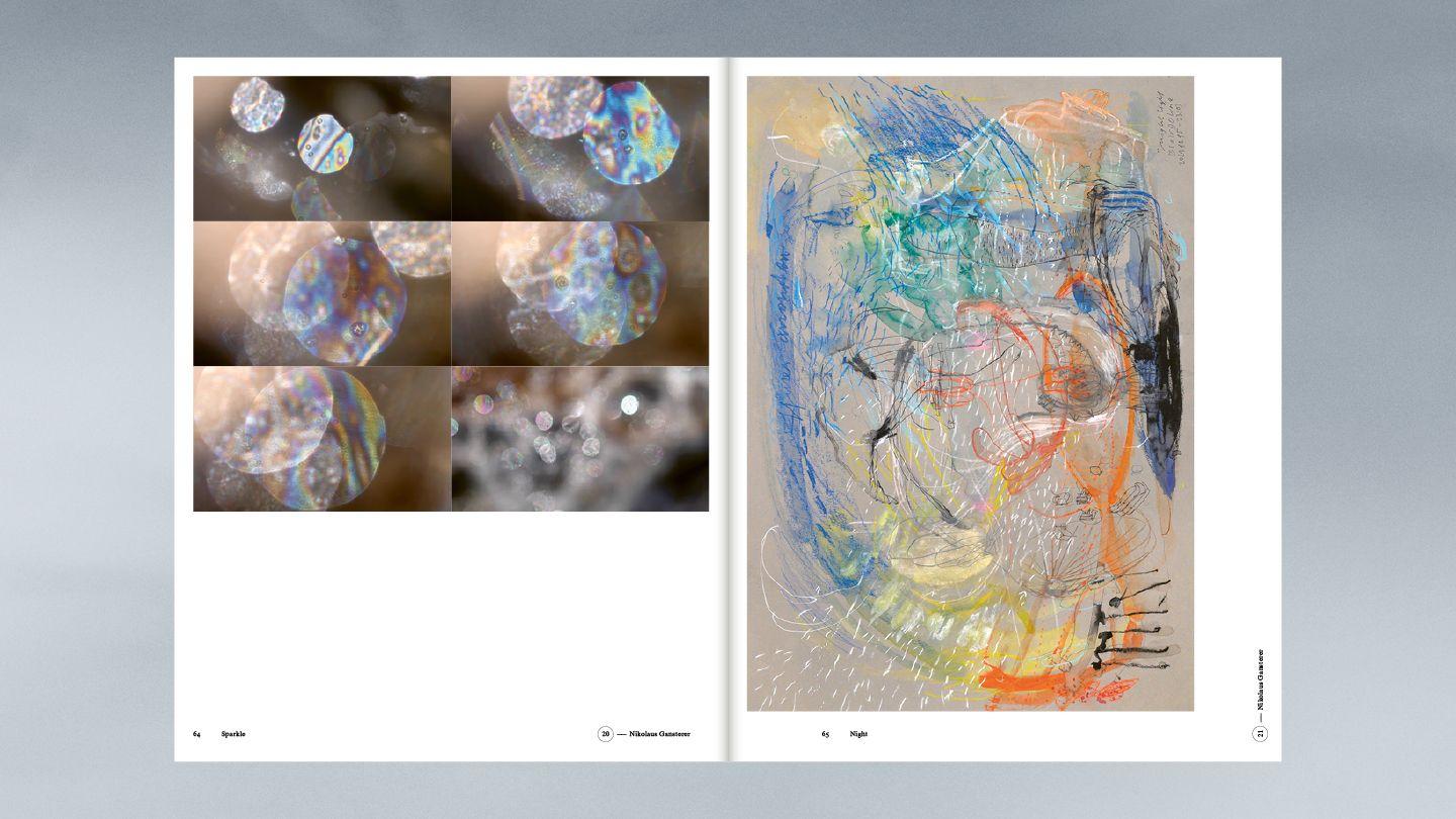 Beispielinhalt (Bild) Contingent Agencies - Inquiring Into the Emergence of Atmospheres. Artistic Research on Human and Nonhuman Relations