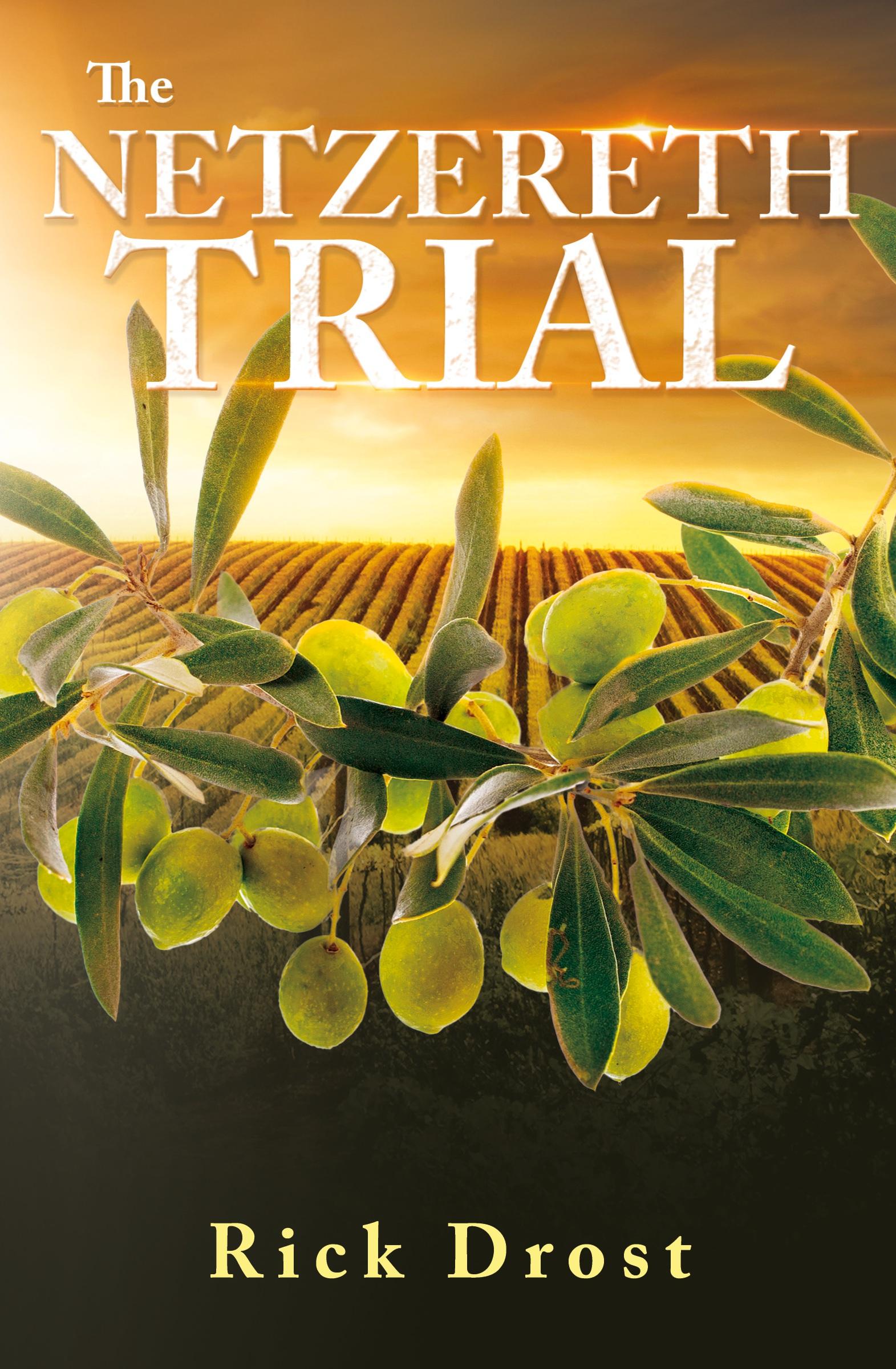 Vorderes Coverbild The Netzereth Trial