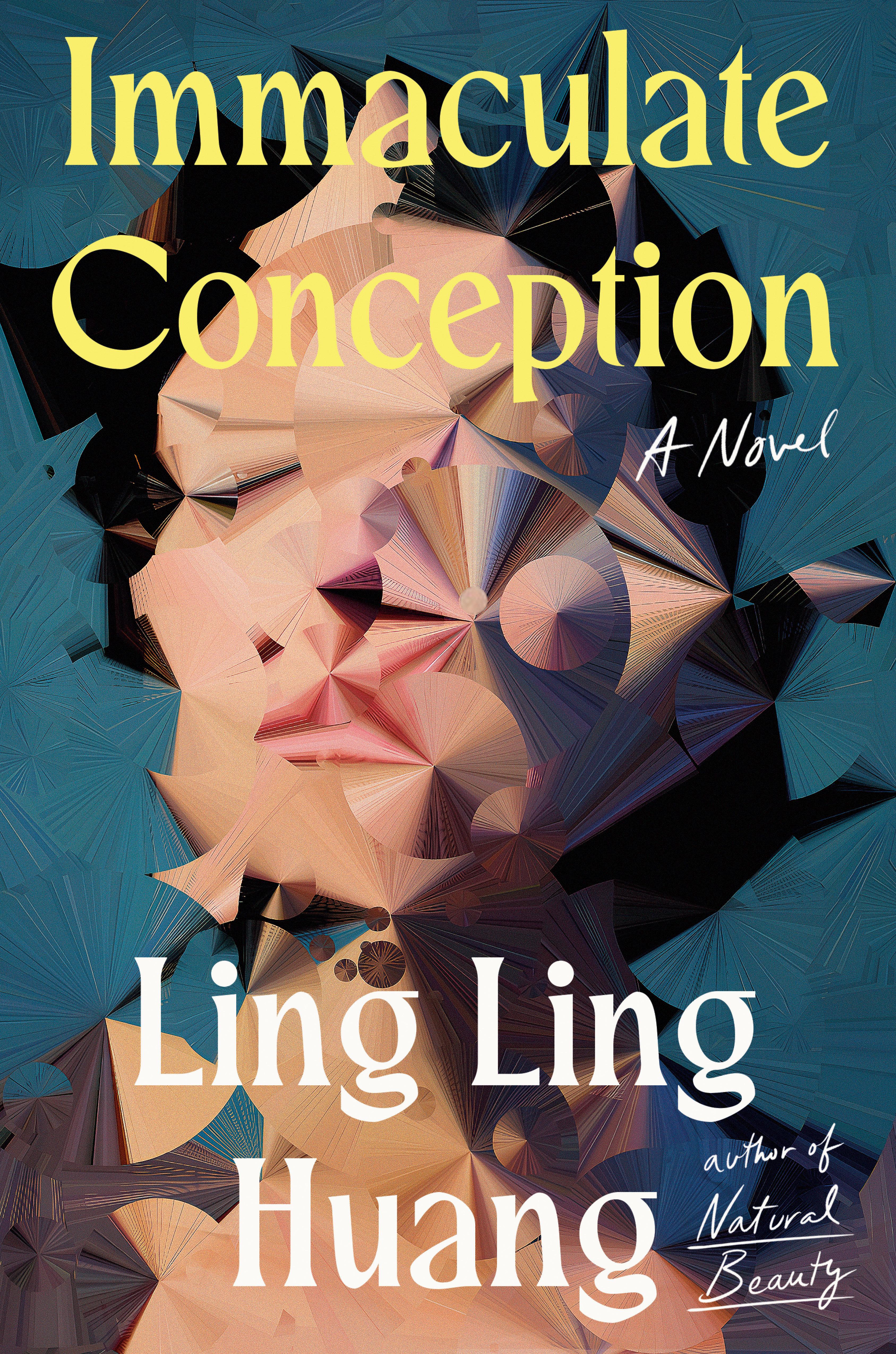 Vorderes Coverbild Immaculate Conception