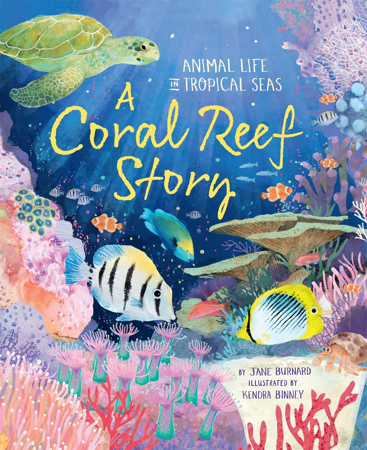 Vorderes Coverbild A Coral Reef Story