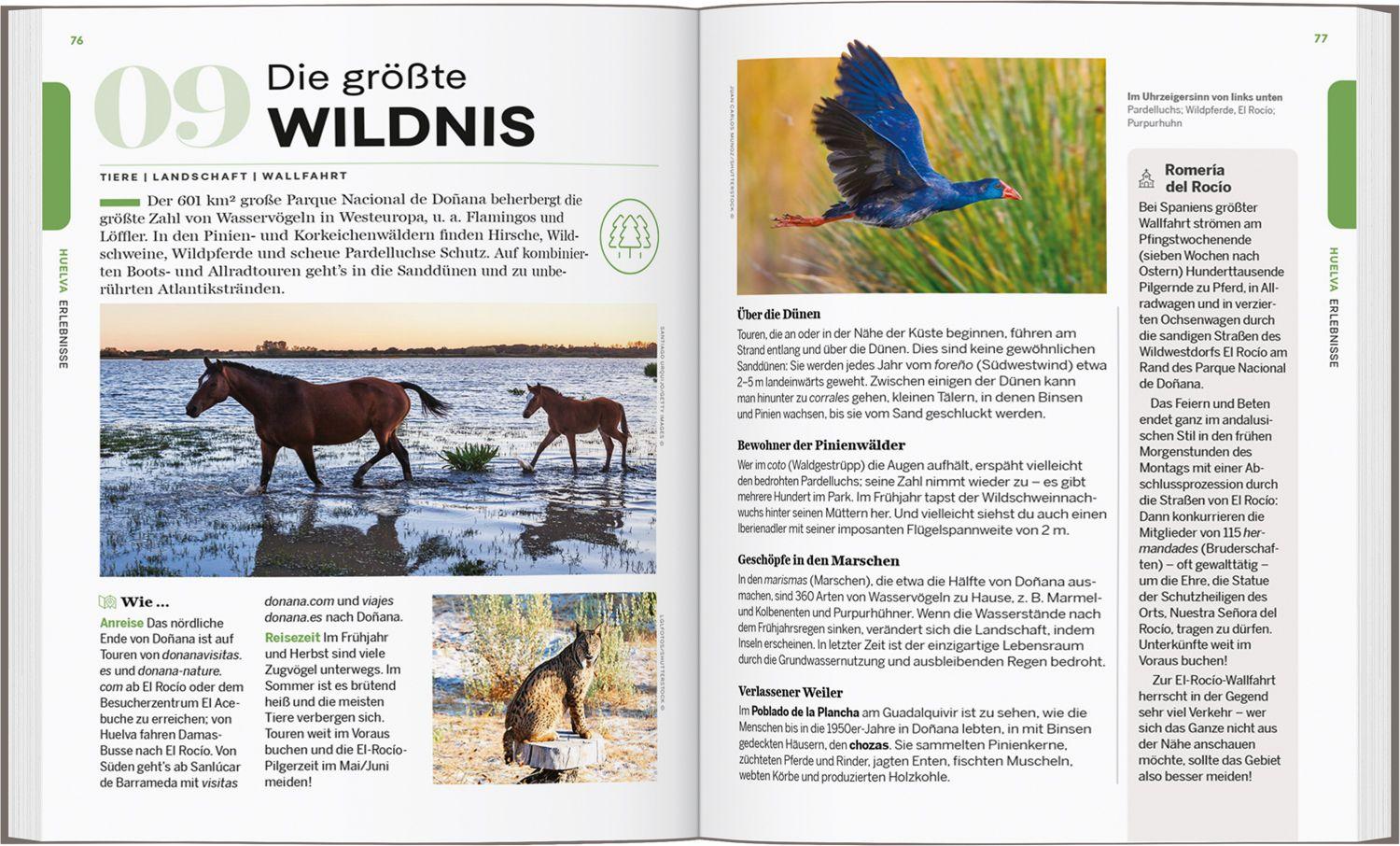 Beispielinhalt (Bild) LONELY PLANET Reiseführer Entdecke Andalusien