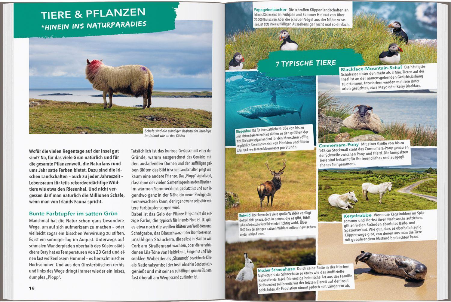 Beispielinhalt (Bild) MARCO POLO OUTDOOR GUIDE Reiseführer Irland & Nordirland