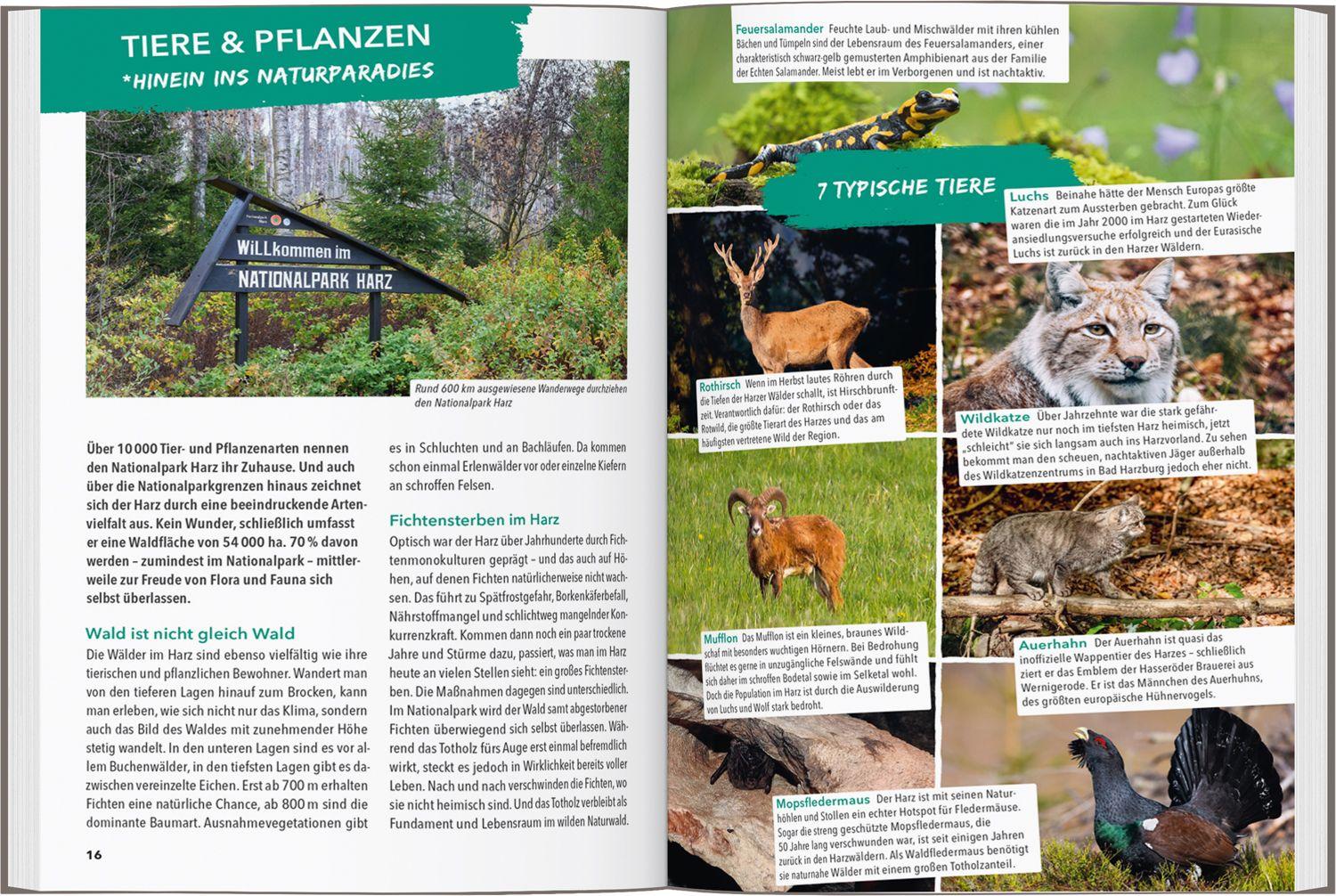 Beispielinhalt (Bild) MARCO POLO OUTDOOR GUIDE Reiseführer Harz