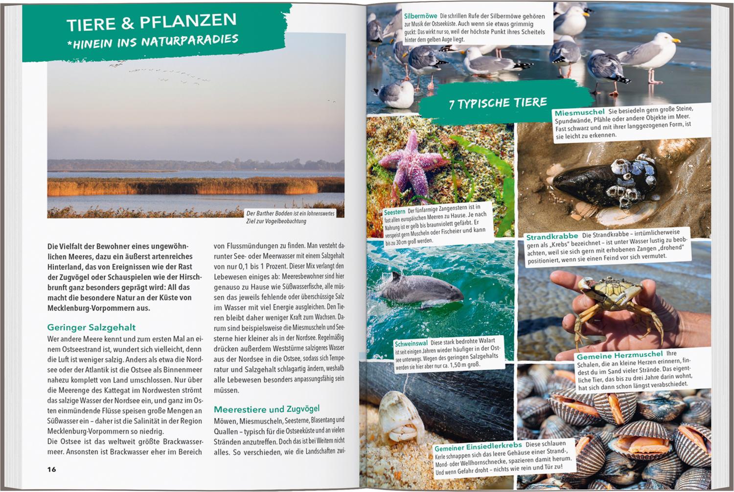 Beispielinhalt (Bild) MARCO POLO OUTDOOR GUIDE Reiseführer Ostseeküste Mecklenburg-Vorpommern