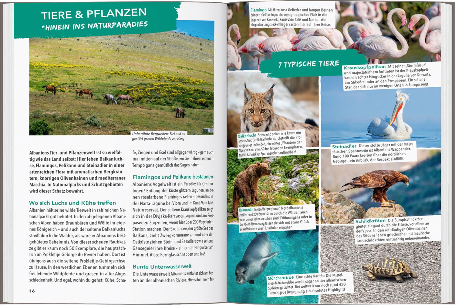 Beispielinhalt (Bild) MARCO POLO OUTDOOR GUIDE Reiseführer Albanien