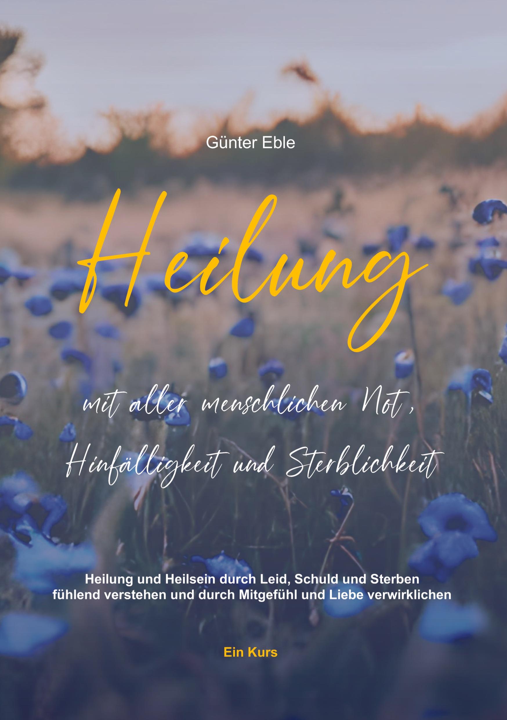 Vorderes Coverbild Heilung mit aller menschlichen Not, Hinfälligkeit und Sterblichkeit