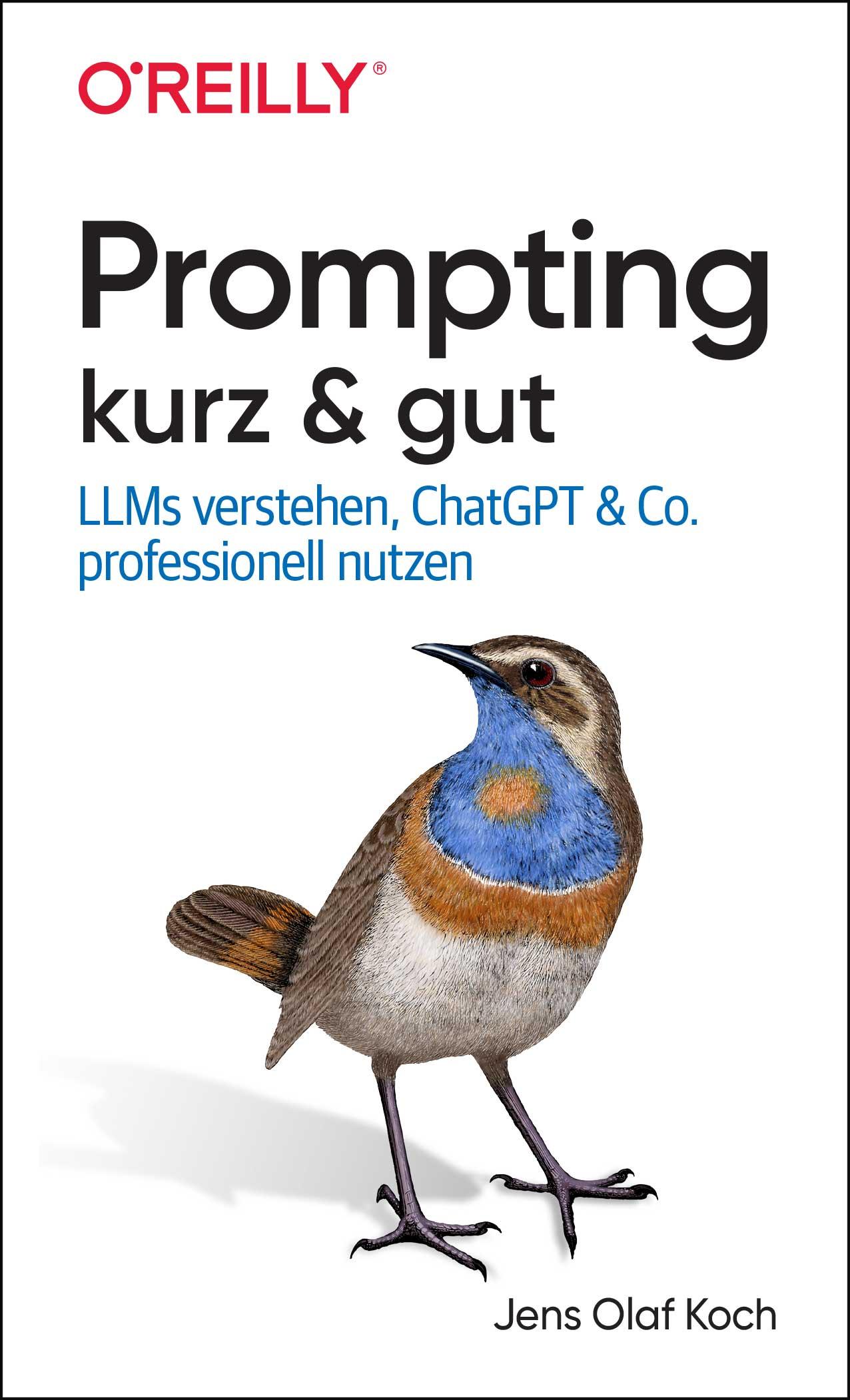 Vorderes Coverbild Prompting kurz & gut