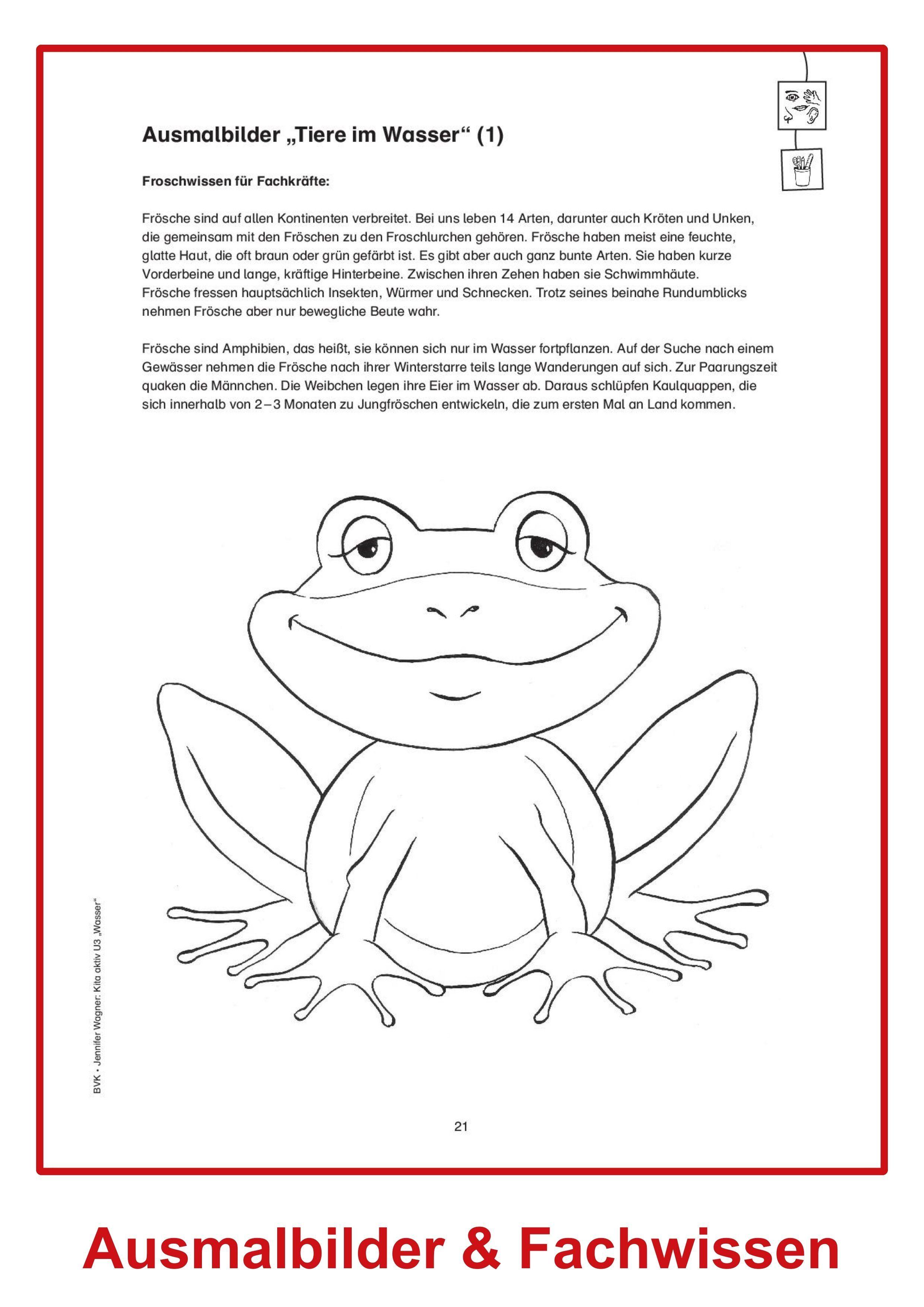 Beispielinhalt (Bild) Kita aktiv U3 Wasser