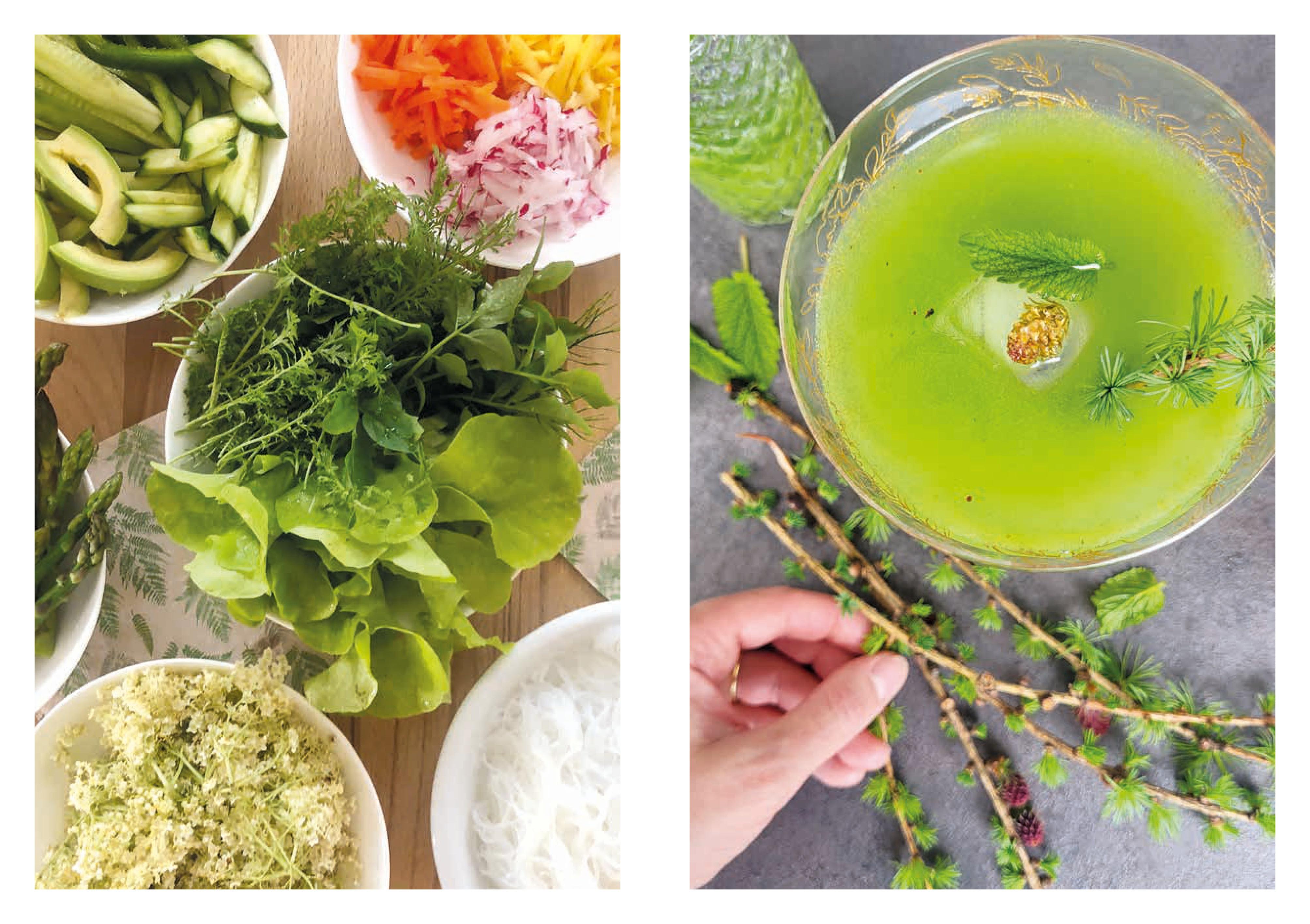 Beispielinhalt (Bild) Alles im Grünen