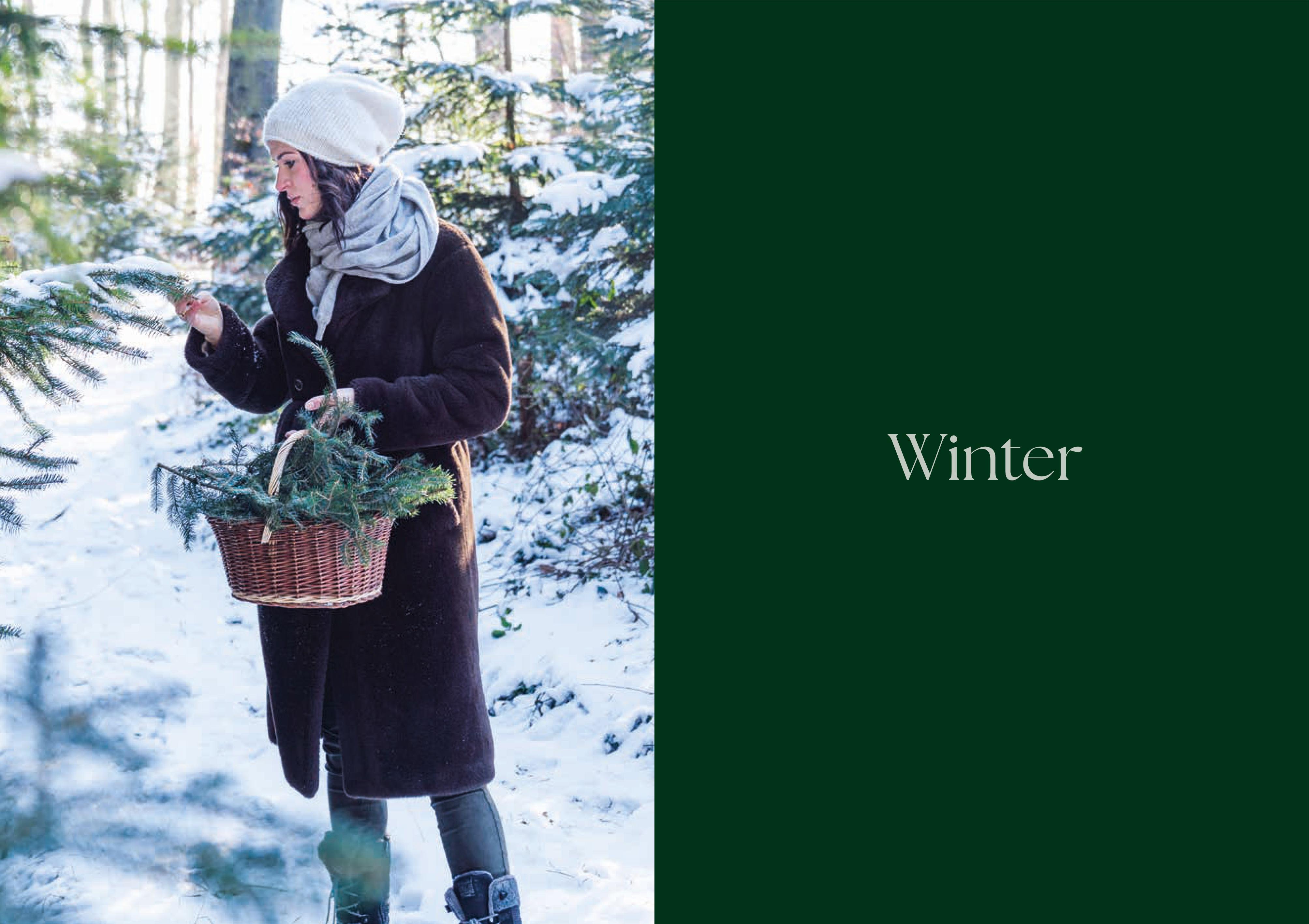 Beispielinhalt (Bild) Alles im Grünen