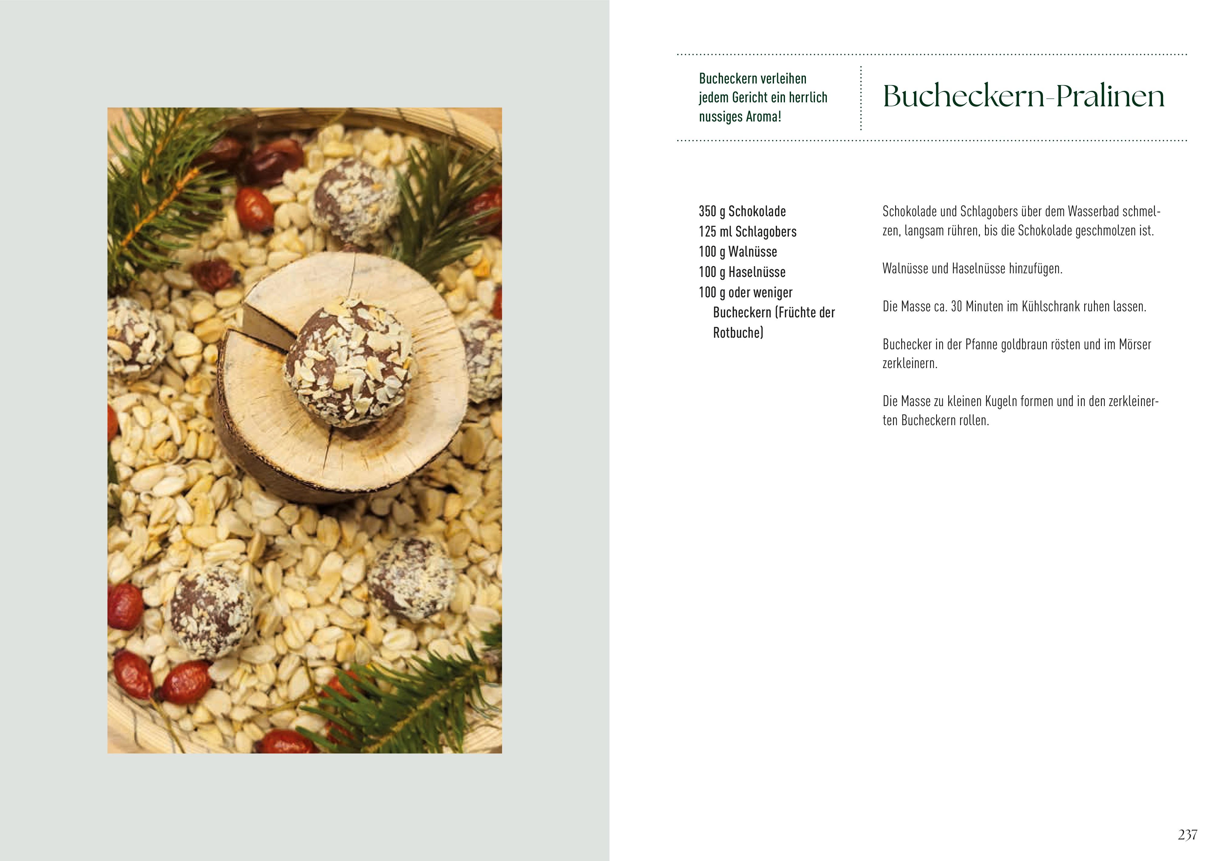 Beispielinhalt (Bild) Alles im Grünen