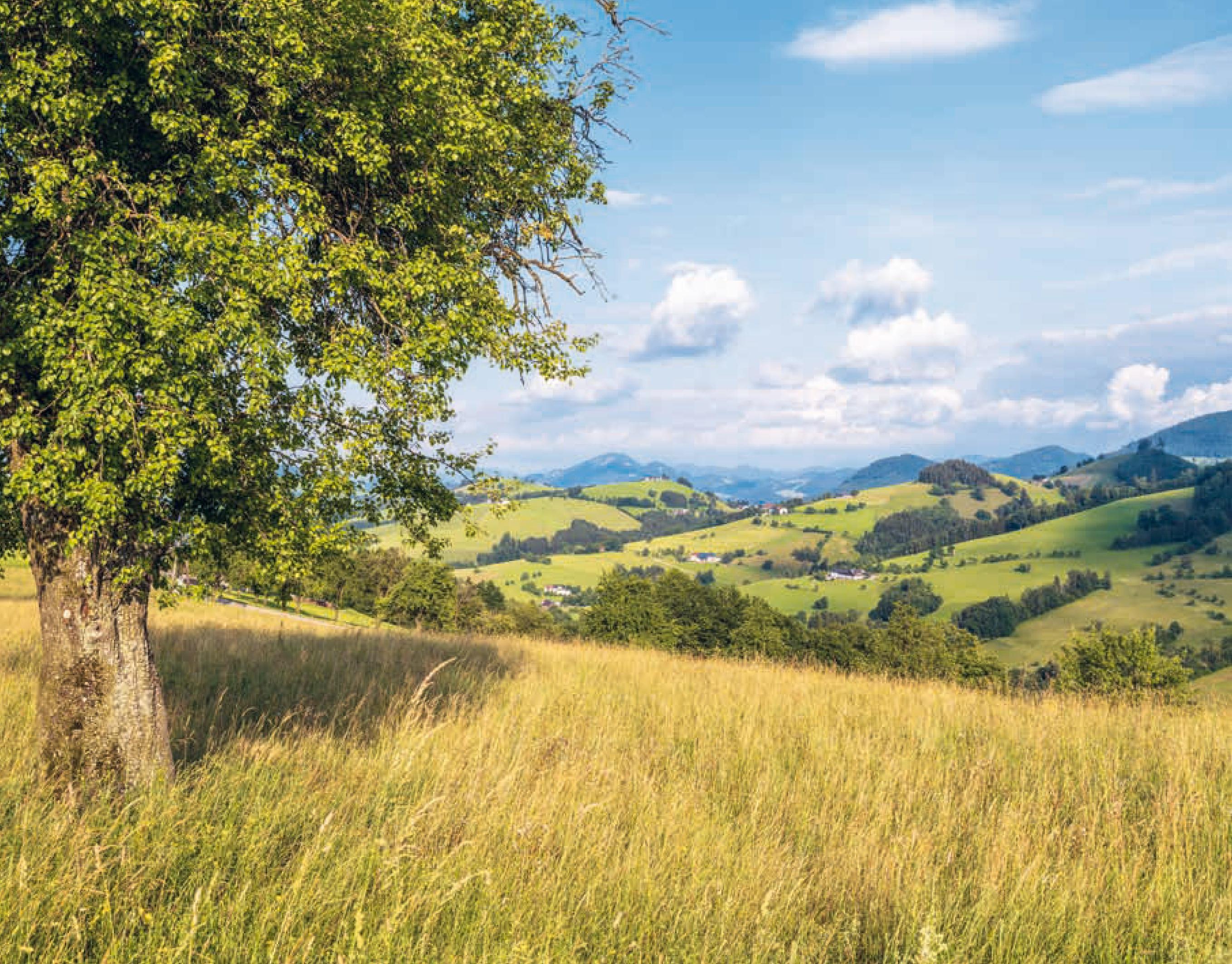 Beispielinhalt (Bild) Wandern im Mostviertel: Vom Donaustrand zum Ötscherland
