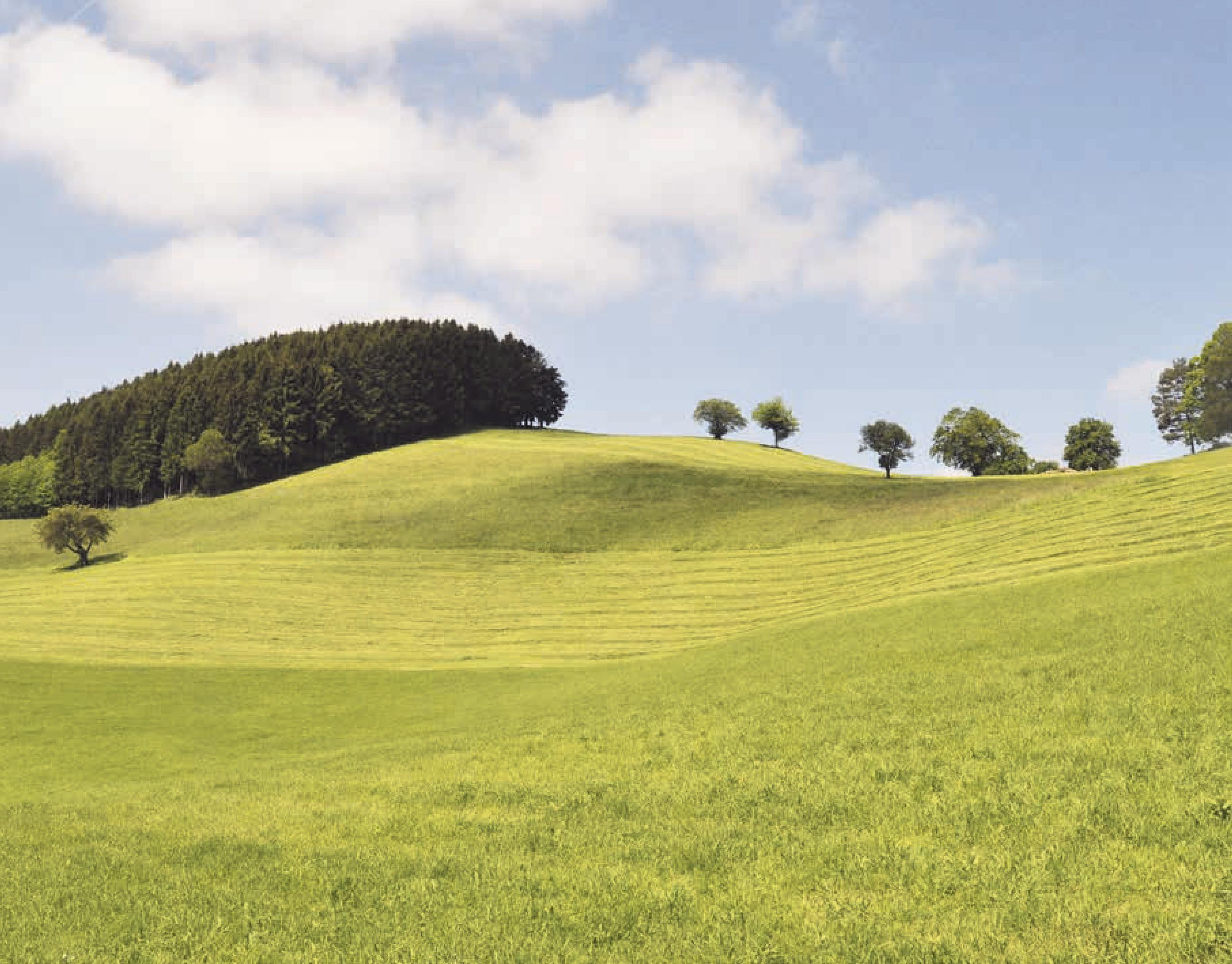 Beispielinhalt (Bild) Wandern im Mostviertel: Vom Donaustrand zum Ötscherland
