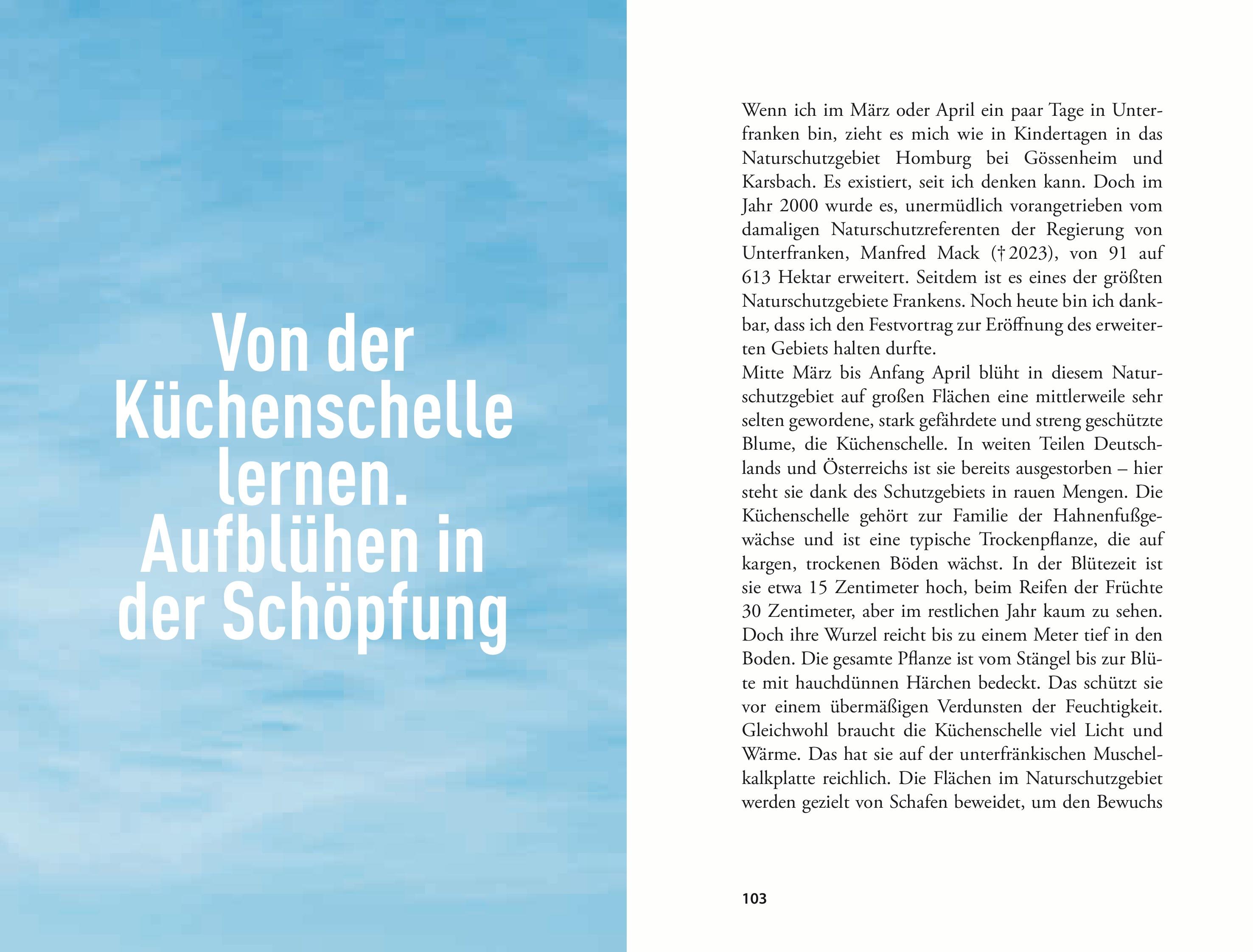 Beispielinhalt (Bild) Unterwegs zu ökologischer Hoffnung