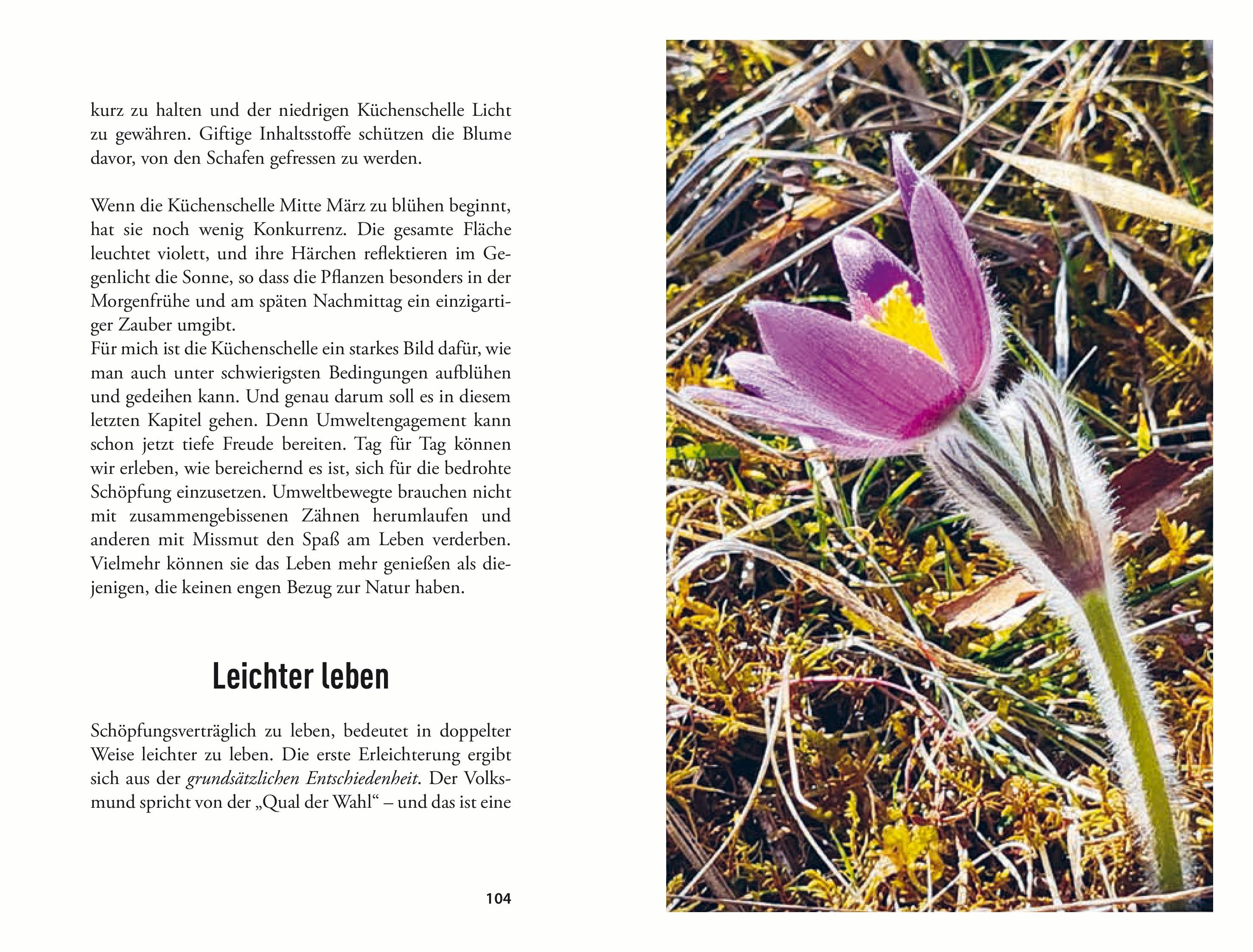 Beispielinhalt (Bild) Unterwegs zu ökologischer Hoffnung