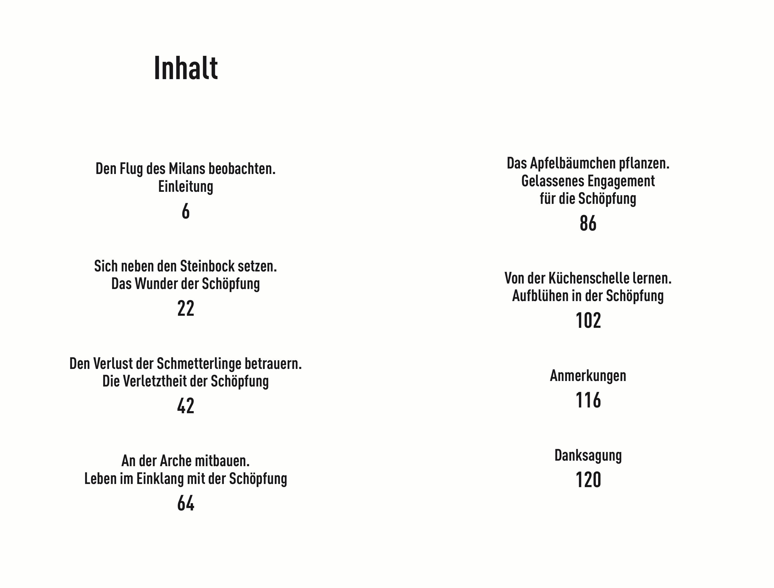 Beispielinhalt (Bild) Unterwegs zu ökologischer Hoffnung