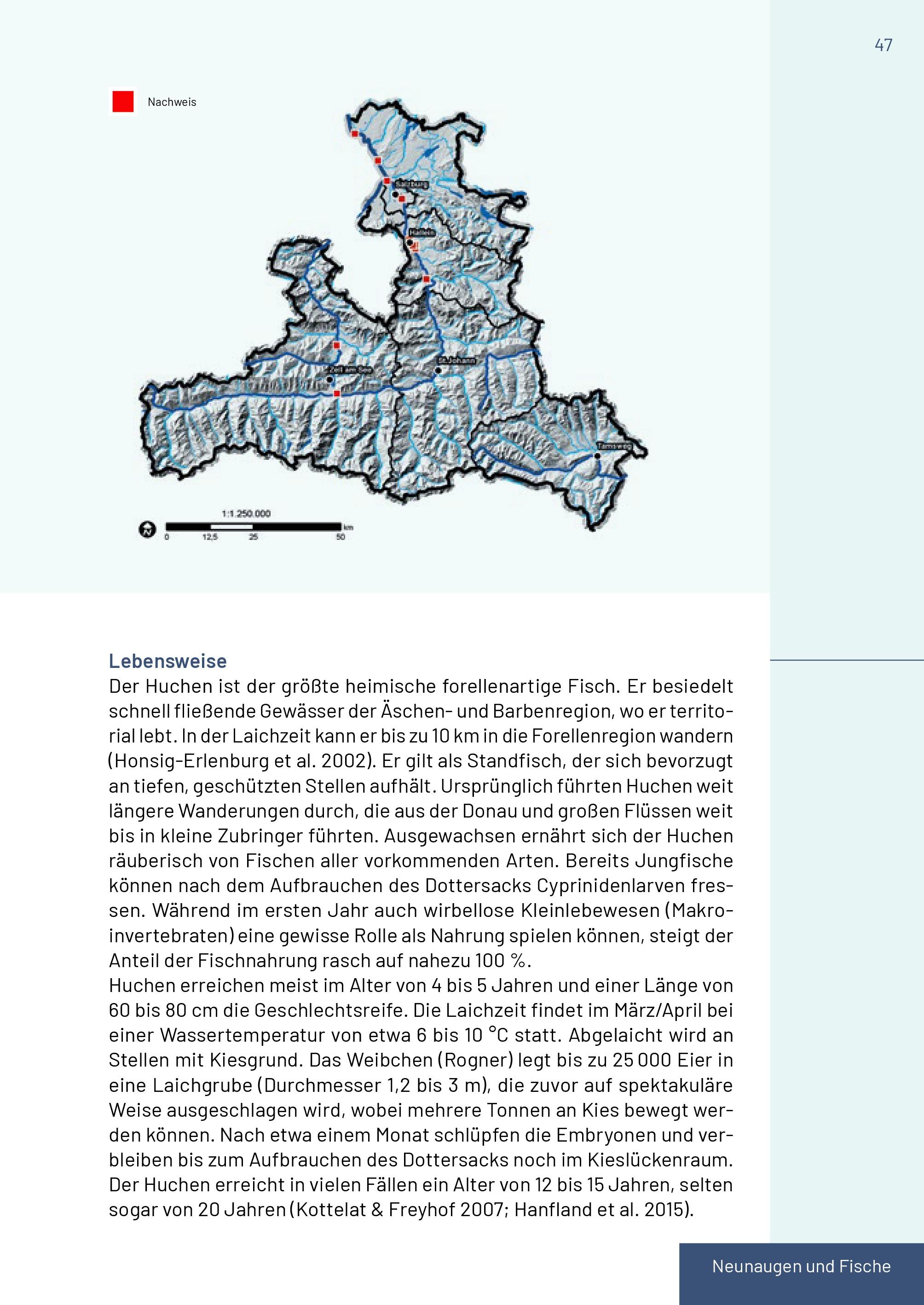 Beispielinhalt (Bild) Neunaugen, Fische, Flusskrebse und Großmuscheln in Salzburg