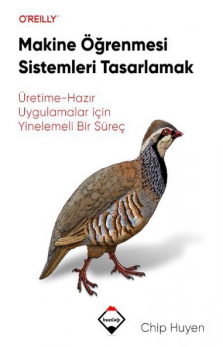 Vorderes Coverbild Makine Ögrenmesi Sistemleri Tasarlamak Üretime