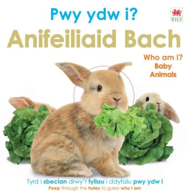 Vorderes Coverbild Pwy Ydw i? Anifeiliaid Bach / Who Am I? Baby Animals
