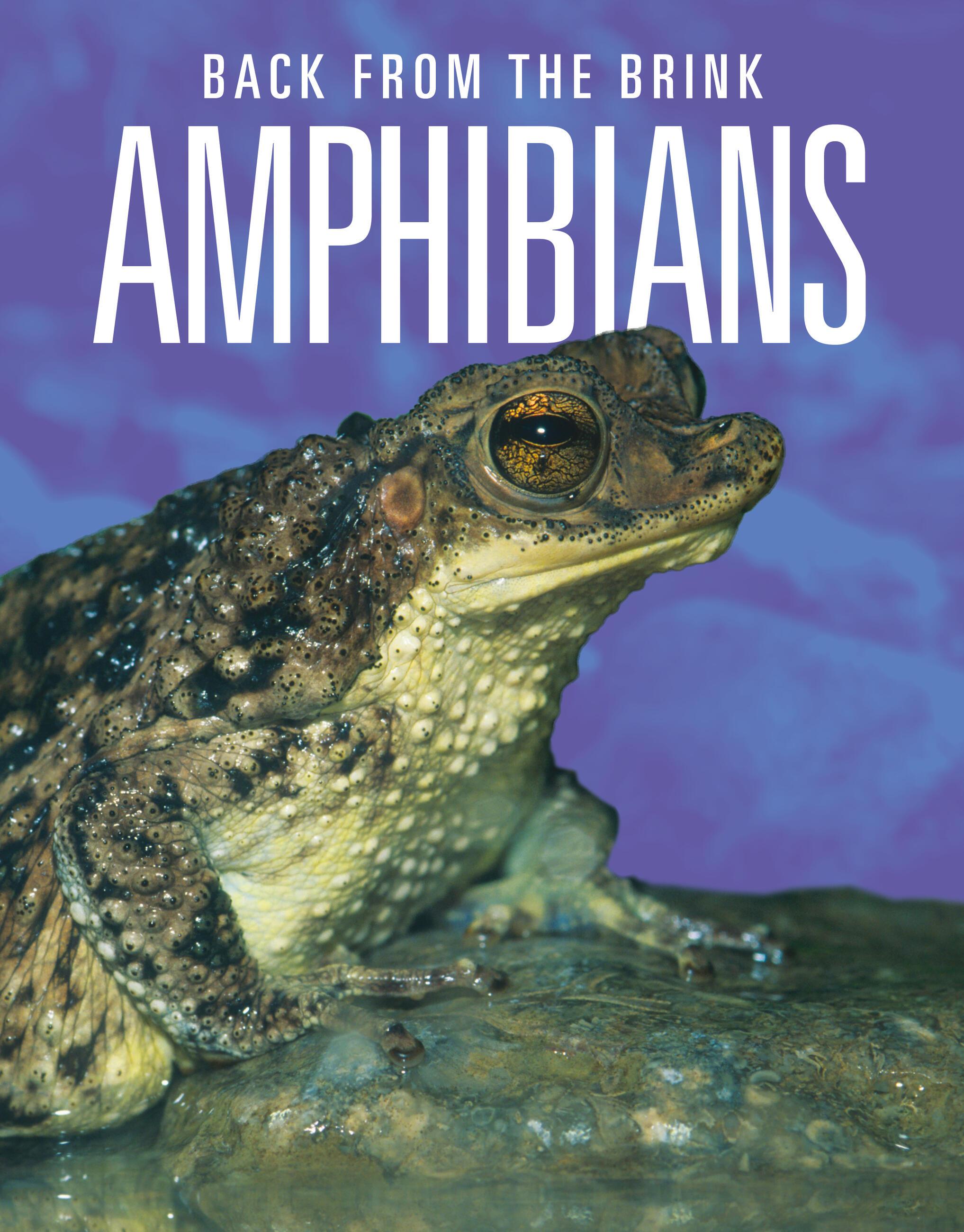 Vorderes Coverbild Amphibians: Back from the Brink