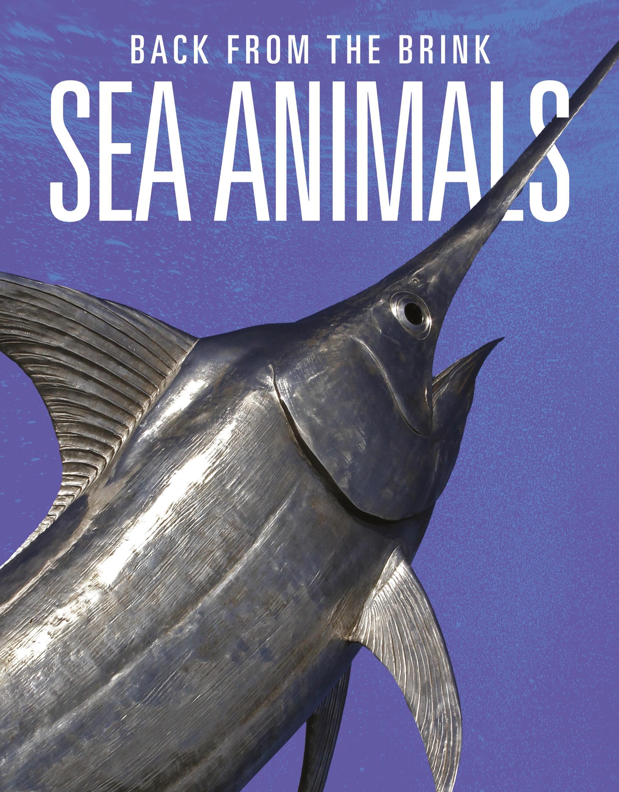 Vorderes Coverbild Sea Animals: Back from the Brink
