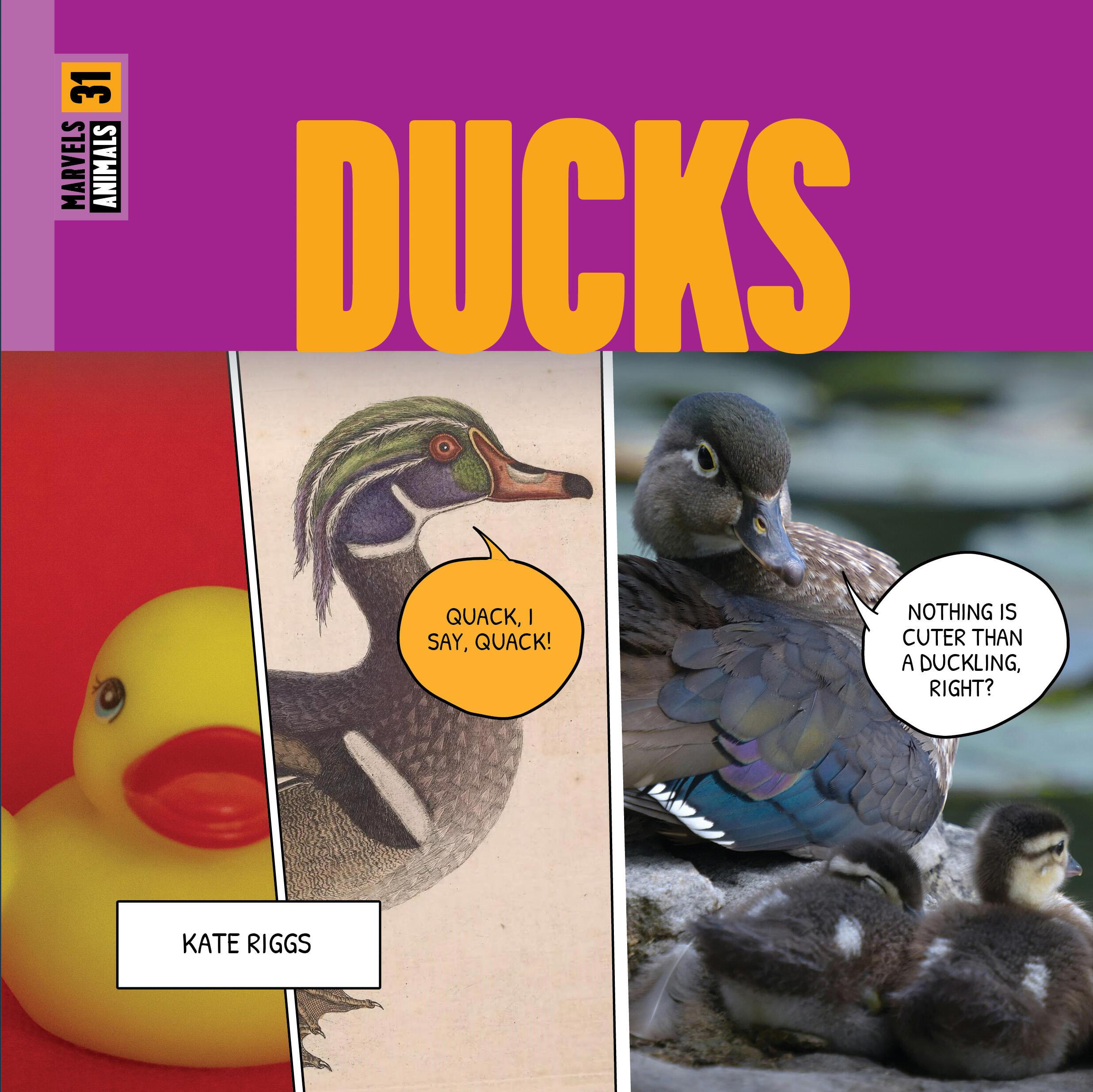 Vorderes Coverbild Ducks