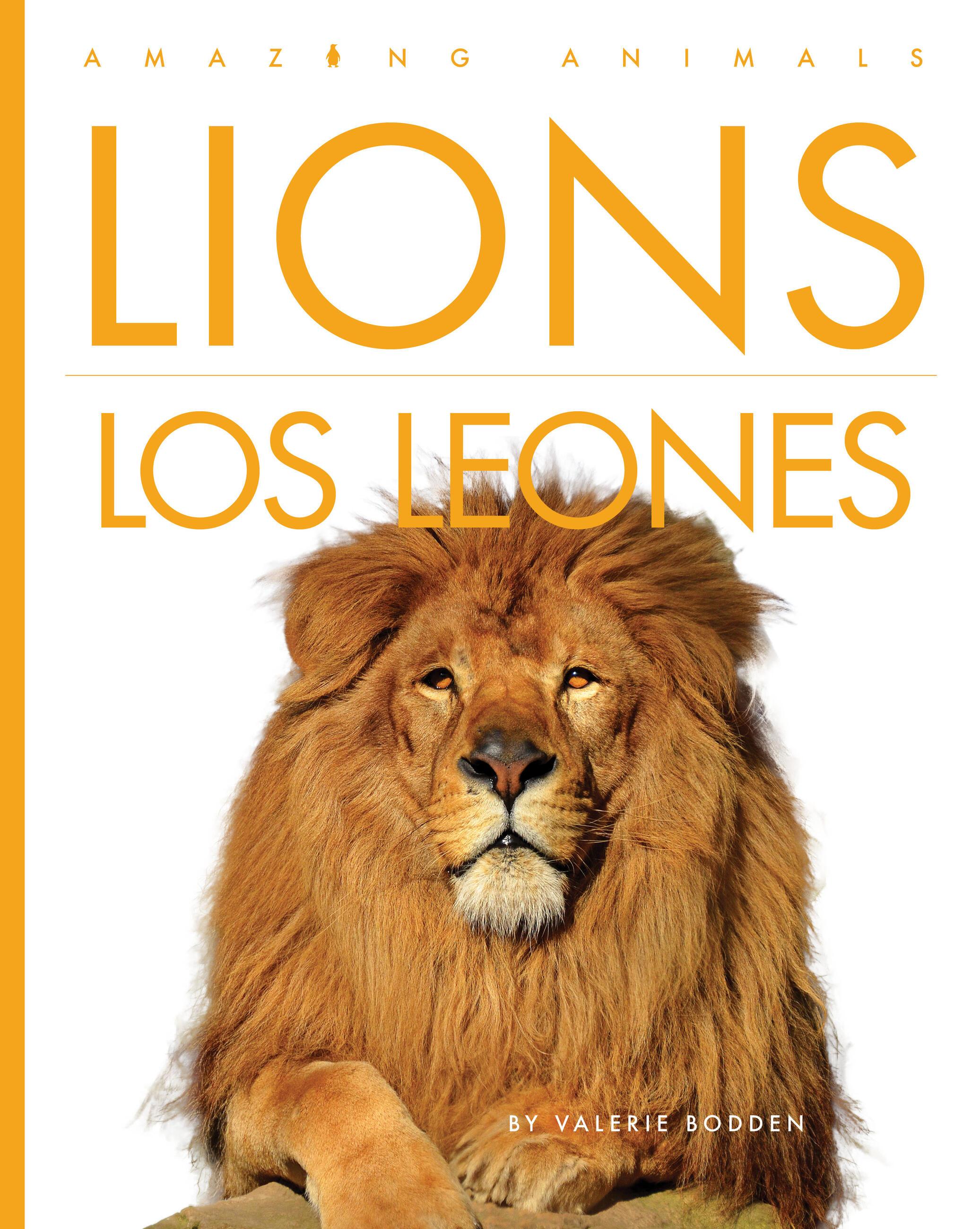 Vorderes Coverbild Lions / Los Leones