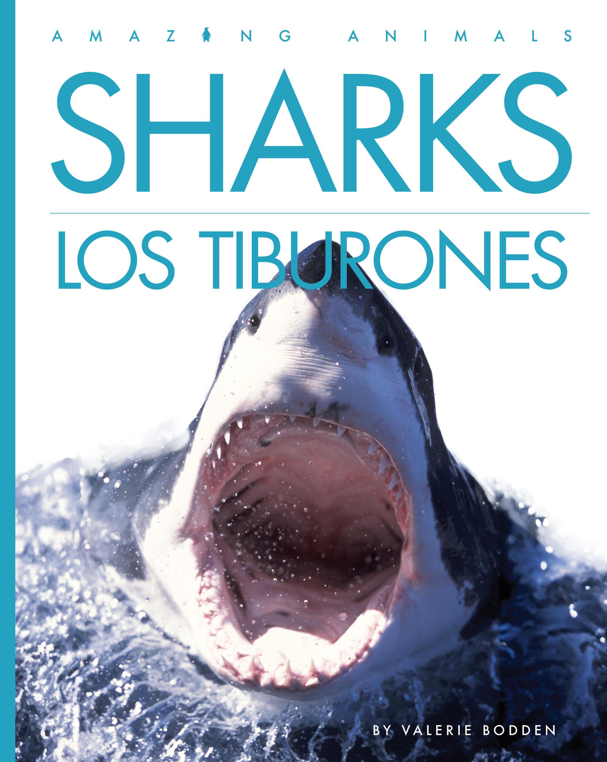 Vorderes Coverbild Sharks / Los Tiburones