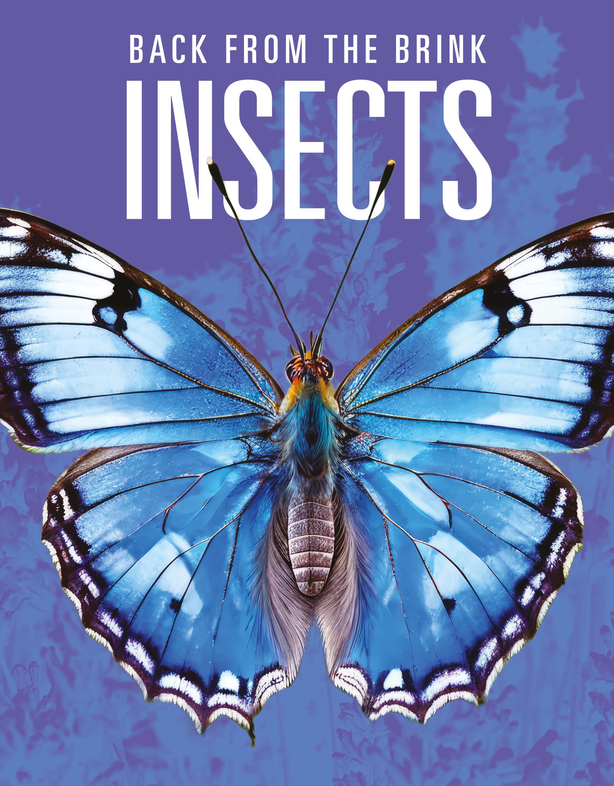 Vorderes Coverbild Insects: Back from the Brink