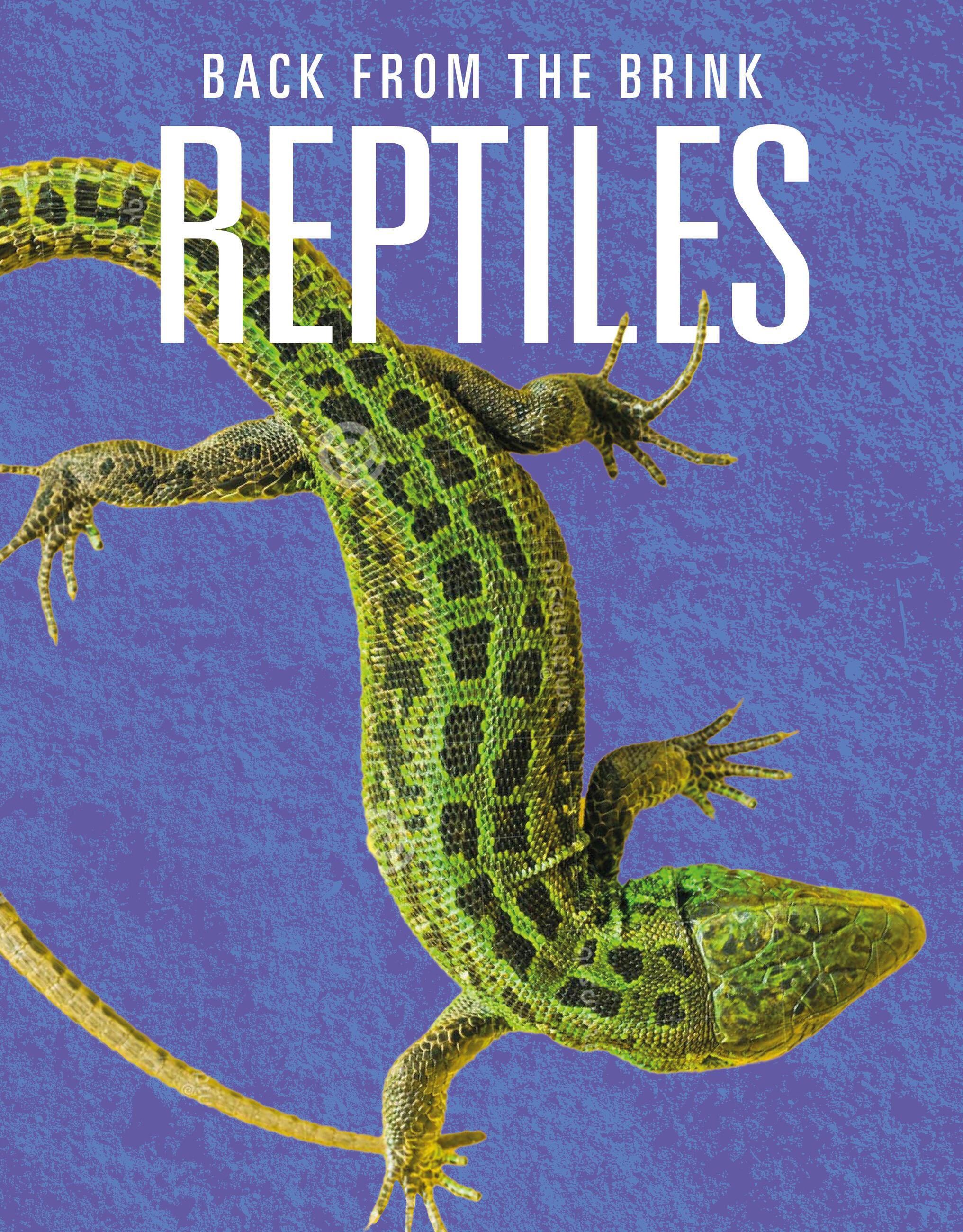 Vorderes Coverbild Reptiles: Back from the Brink