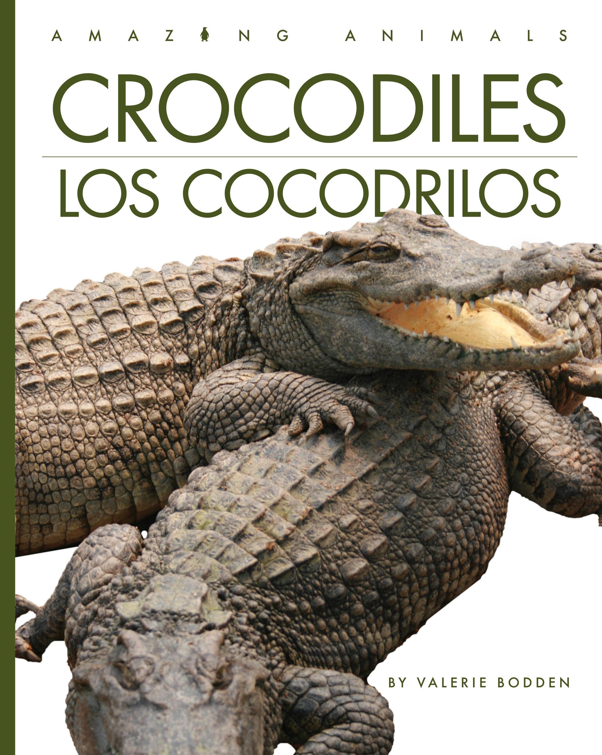 Vorderes Coverbild Crocodiles / Los Cocodrilos