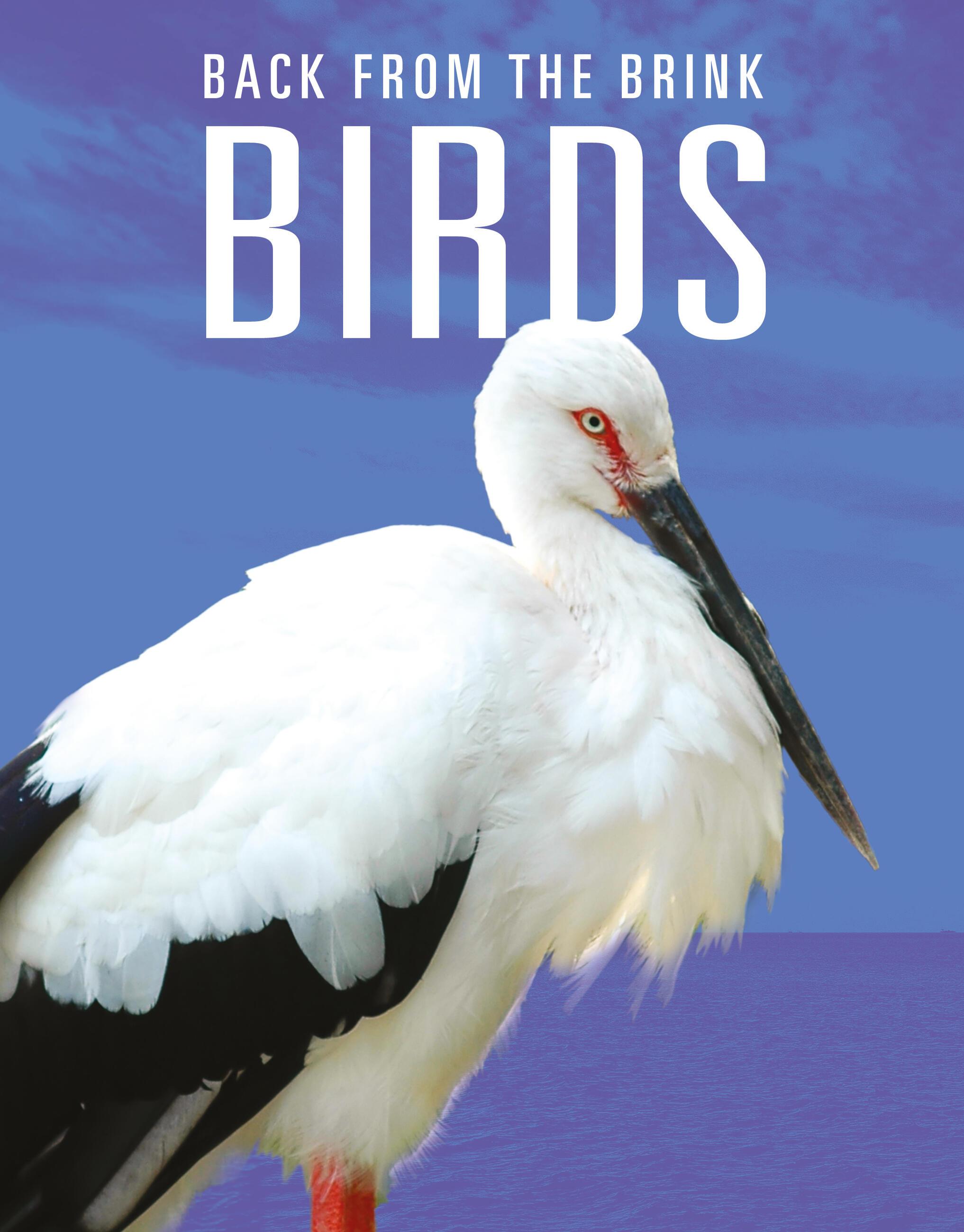 Vorderes Coverbild Birds: Back from the Brink