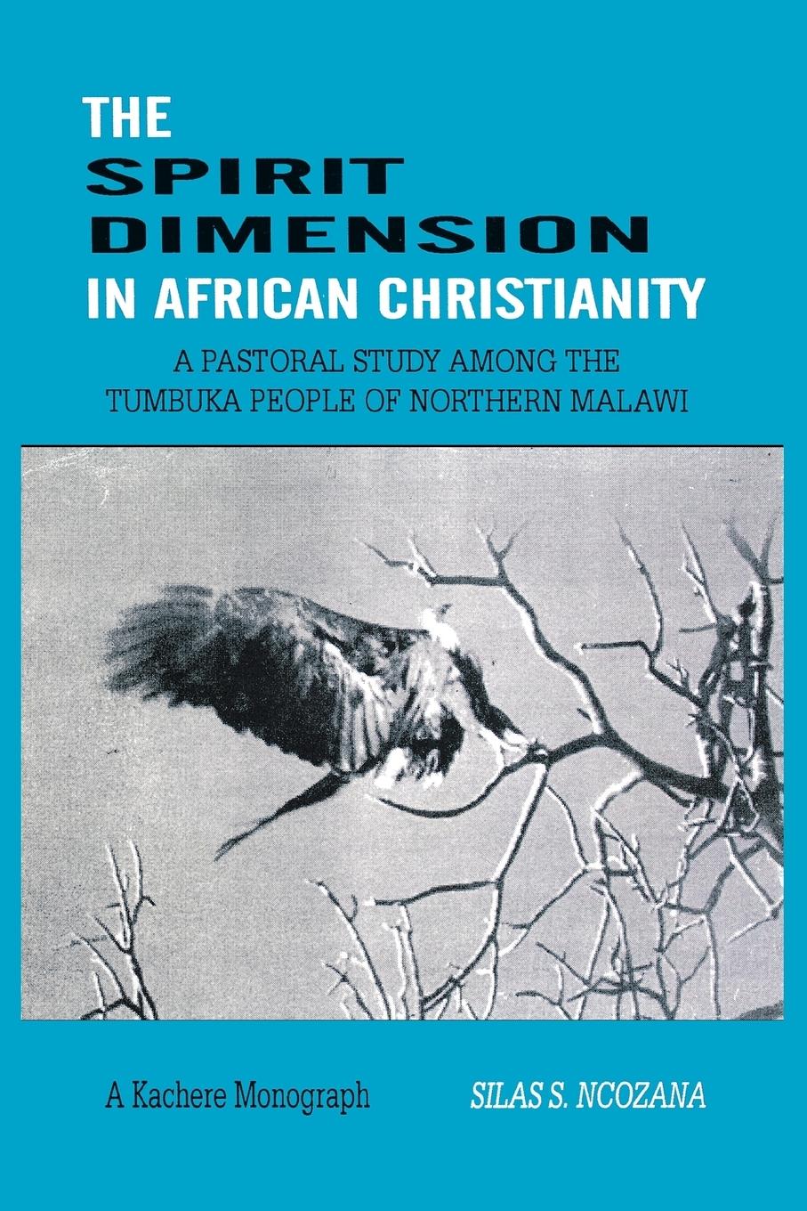 Vorderes Coverbild The Spirit Dimension in African Christianity. A Pastoral Study among the Tumbuka People of Northern Malawi