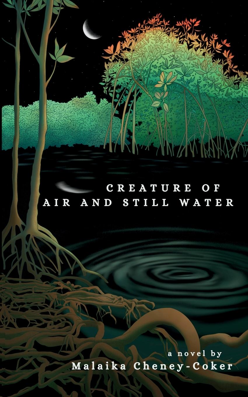 Vorderes Coverbild Creature of Air and Still Water