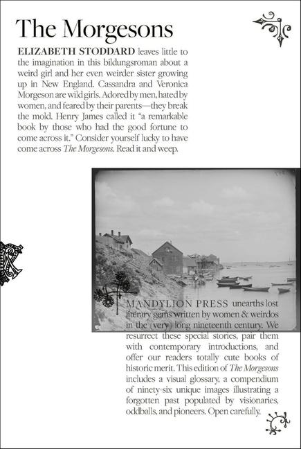 Vorderes Coverbild The Morgesons