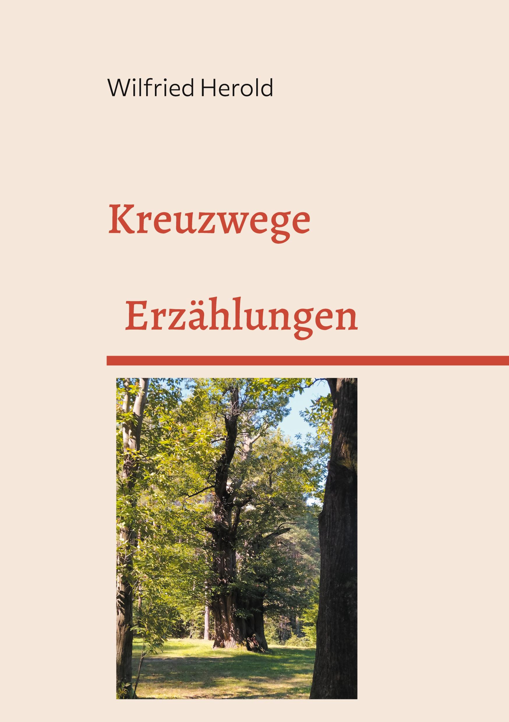 Vorderes Coverbild Kreuzwege