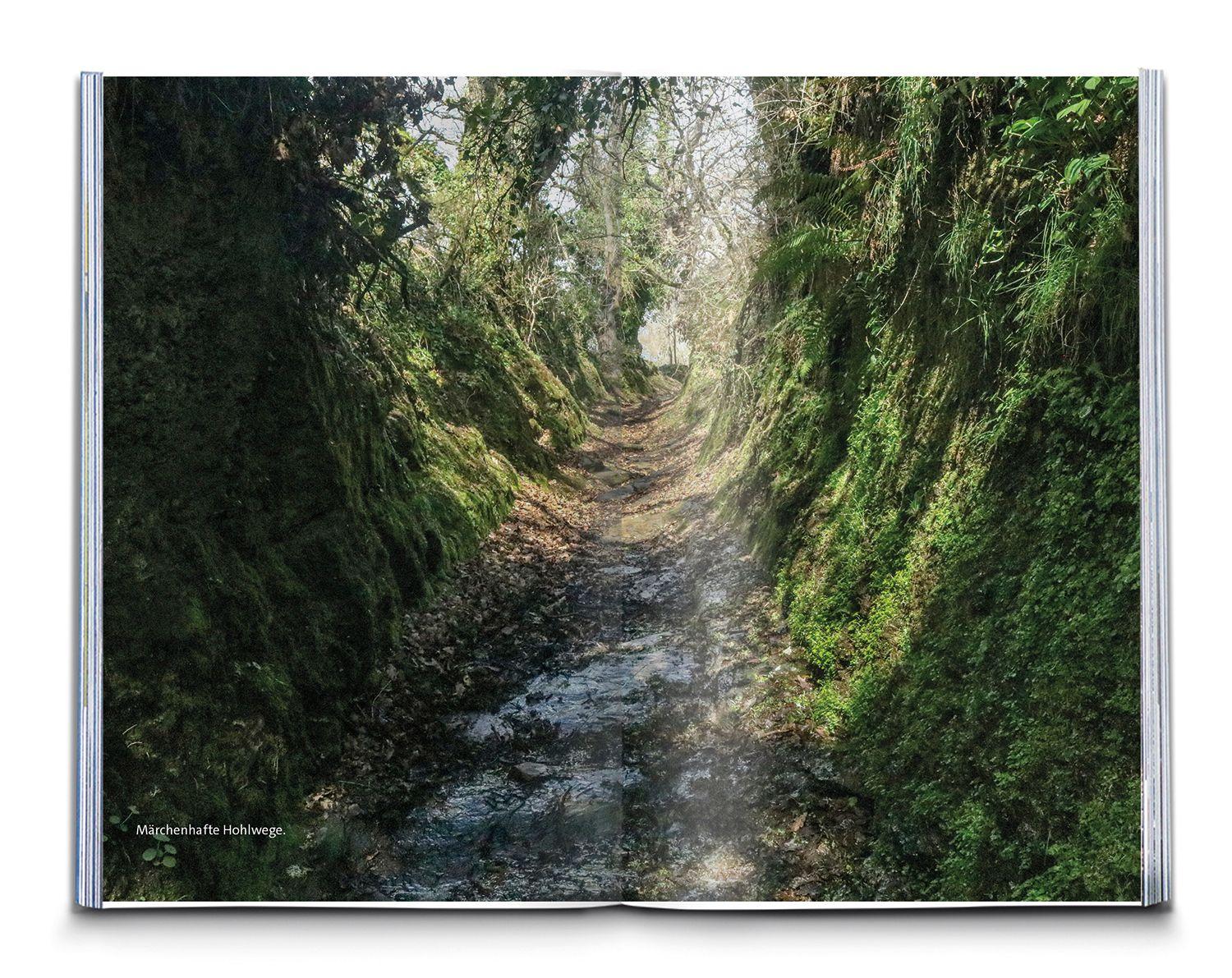 Beispielinhalt (Bild) KOMPASS Wanderführer Jakobsweg Spanien, Camino Francés. Von den Pyrenäen nach Santiago de Compostela und Fisterra, 46 Etappen mit Extra-Tourenkarte