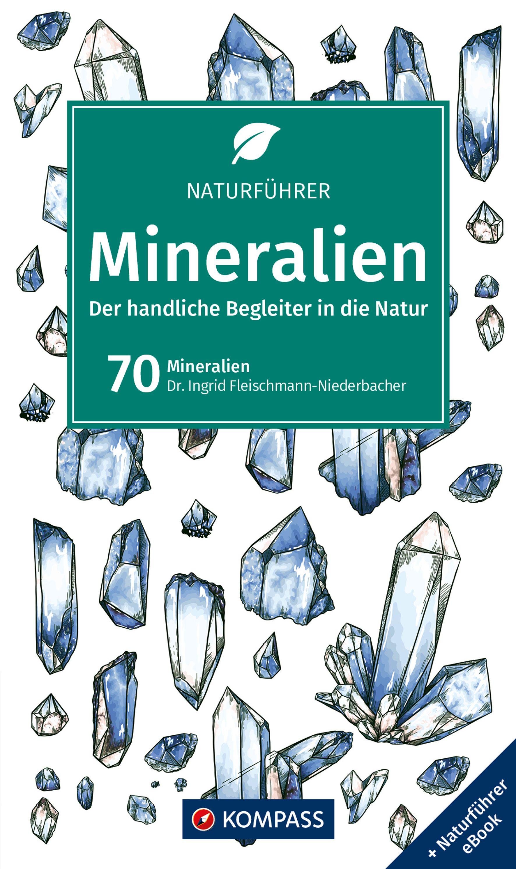 Vorderes Coverbild KOMPASS Naturführer Mineralien