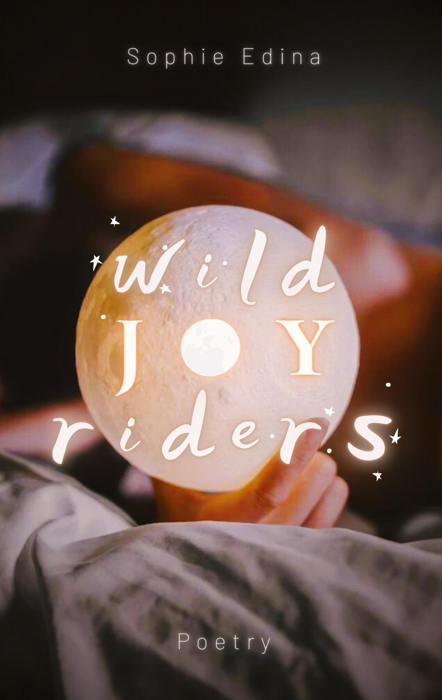 Vorderes Coverbild Wild Joy Riders