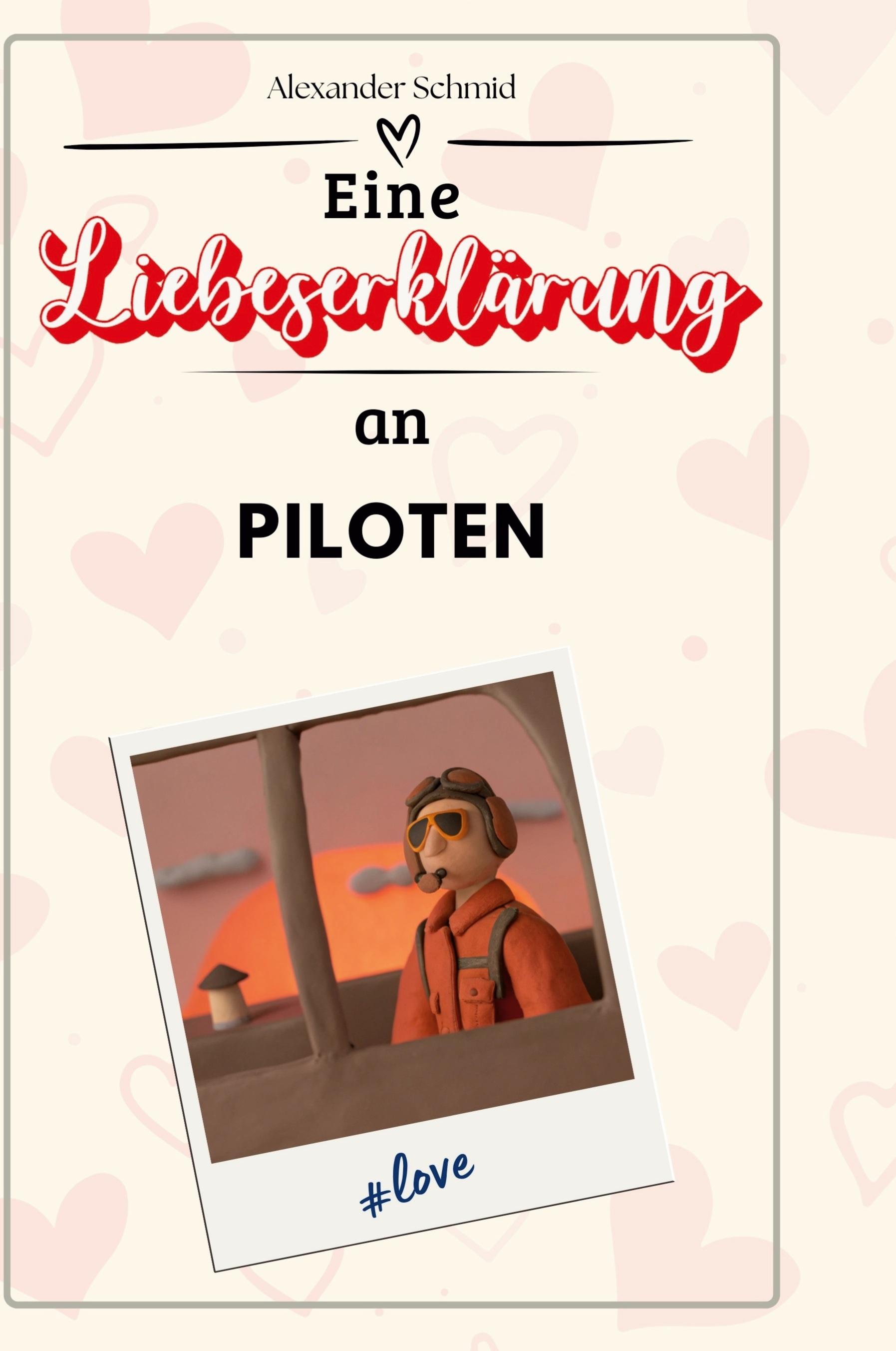 Vorderes Coverbild Eine Liebeserklärung an Piloten