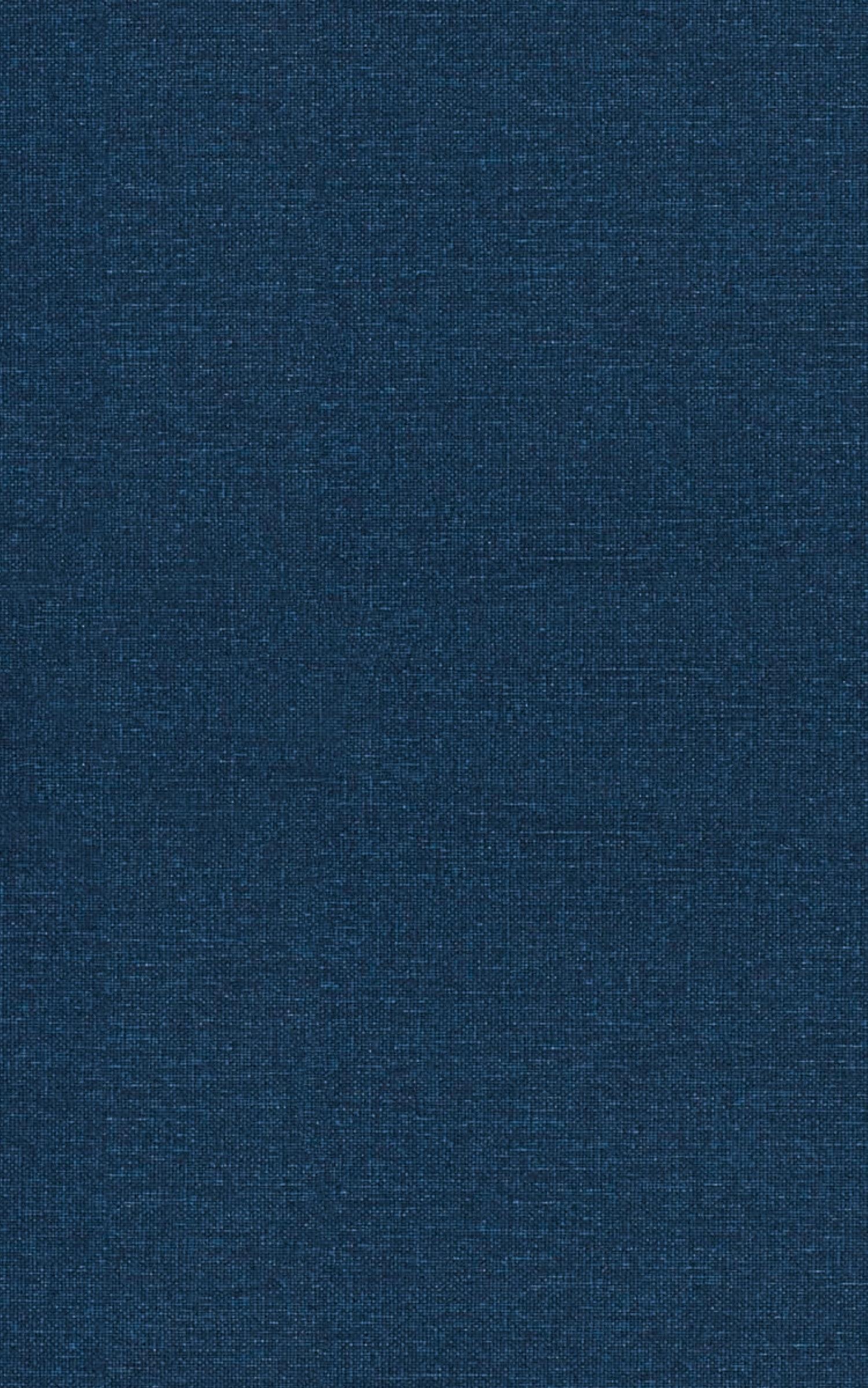 Vorderes Coverbild Les sirènes des abysses