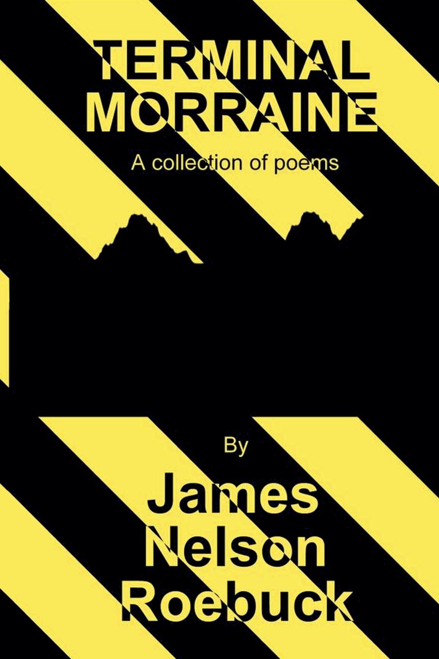 Vorderes Coverbild Terminal Morraine