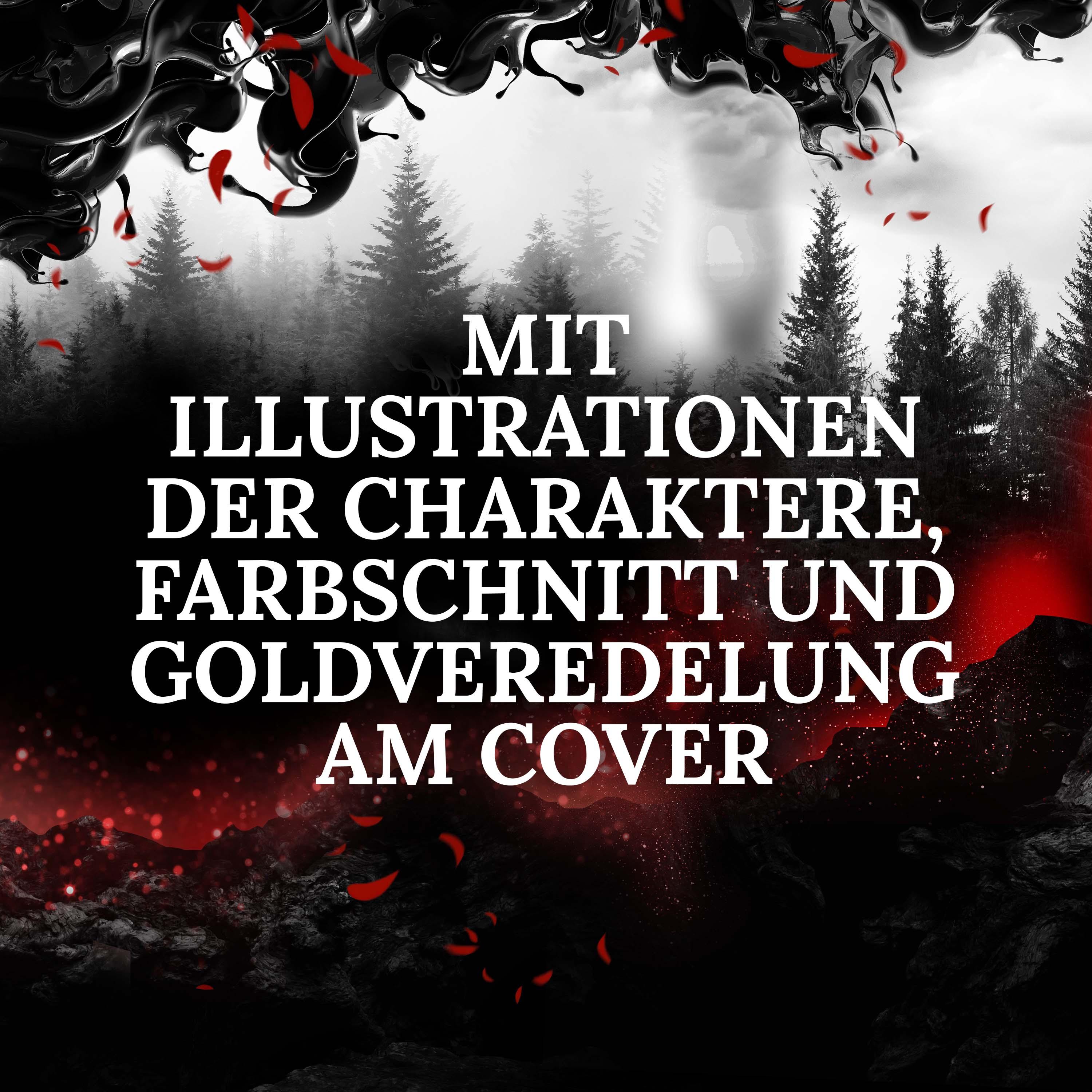 Beispielinhalt (Bild) Dreamcatcher | Shadowfall (Band 6)