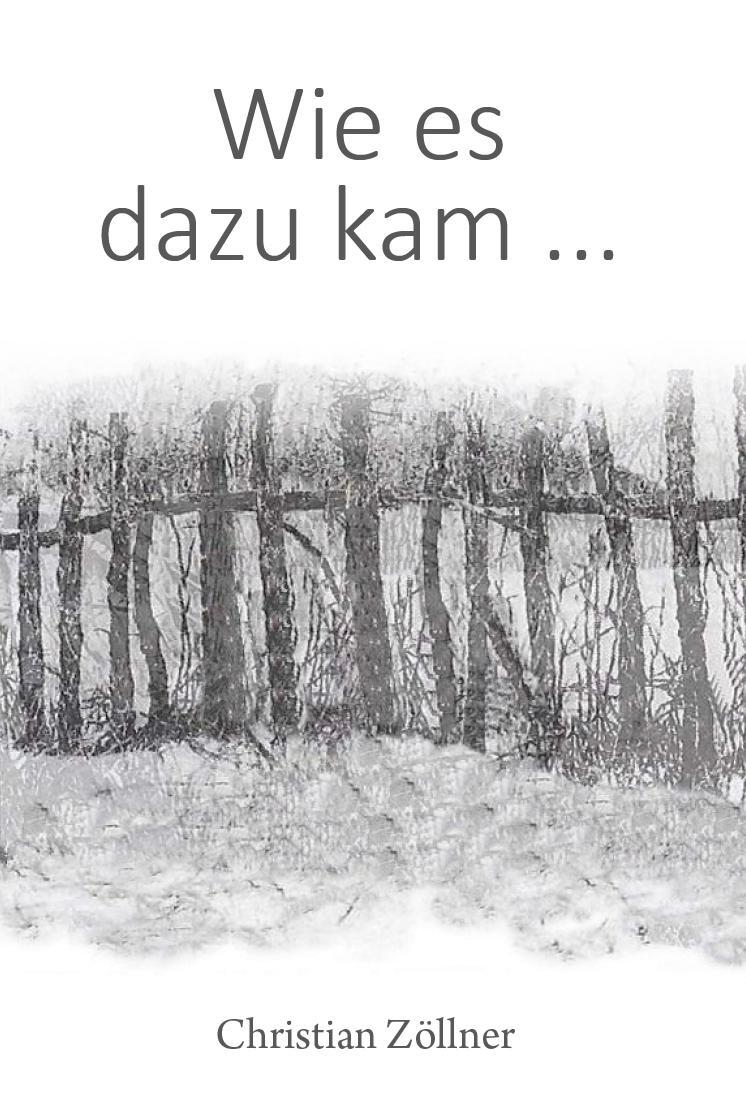 Vorderes Coverbild Wie es dazu kam ...